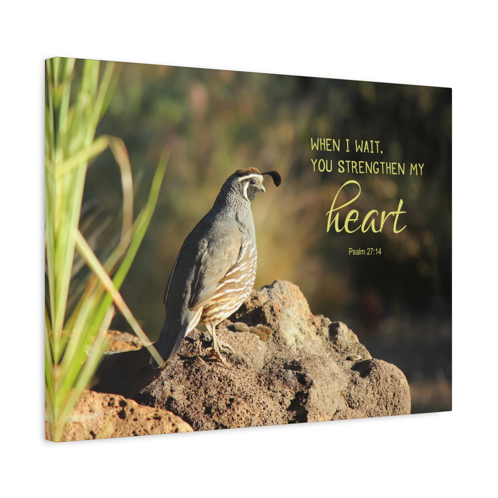Scripture Walls Strengthen My Heart Psalm 27:14 Bird Bible Verse Canvas Christian Wall Art Ready to Hang-Express Your Love Gifts