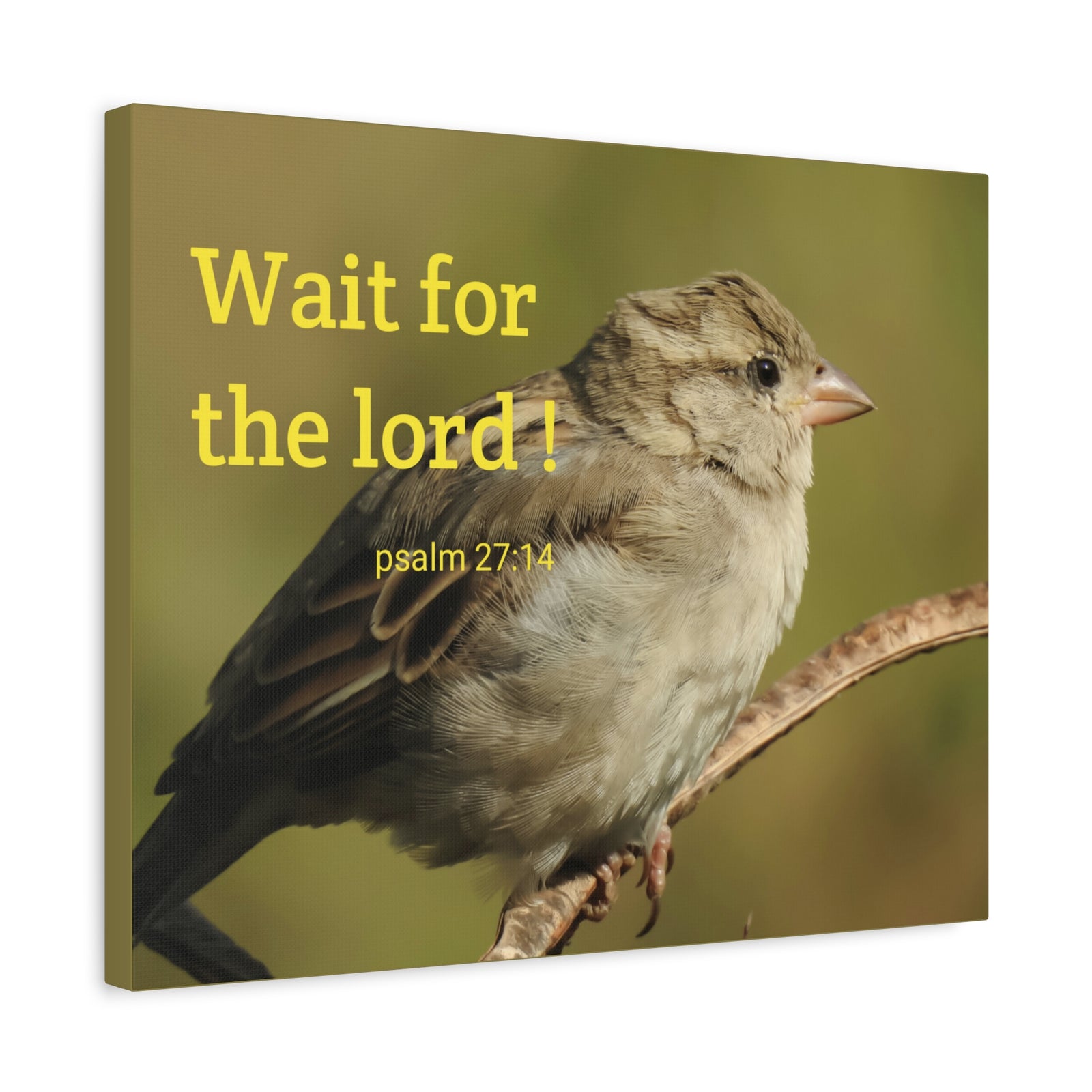 Scripture Walls Wait For The Lord Psalm 27:14 Bible Verse Canvas Christian Wall Art Ready to Hang-Express Your Love Gifts