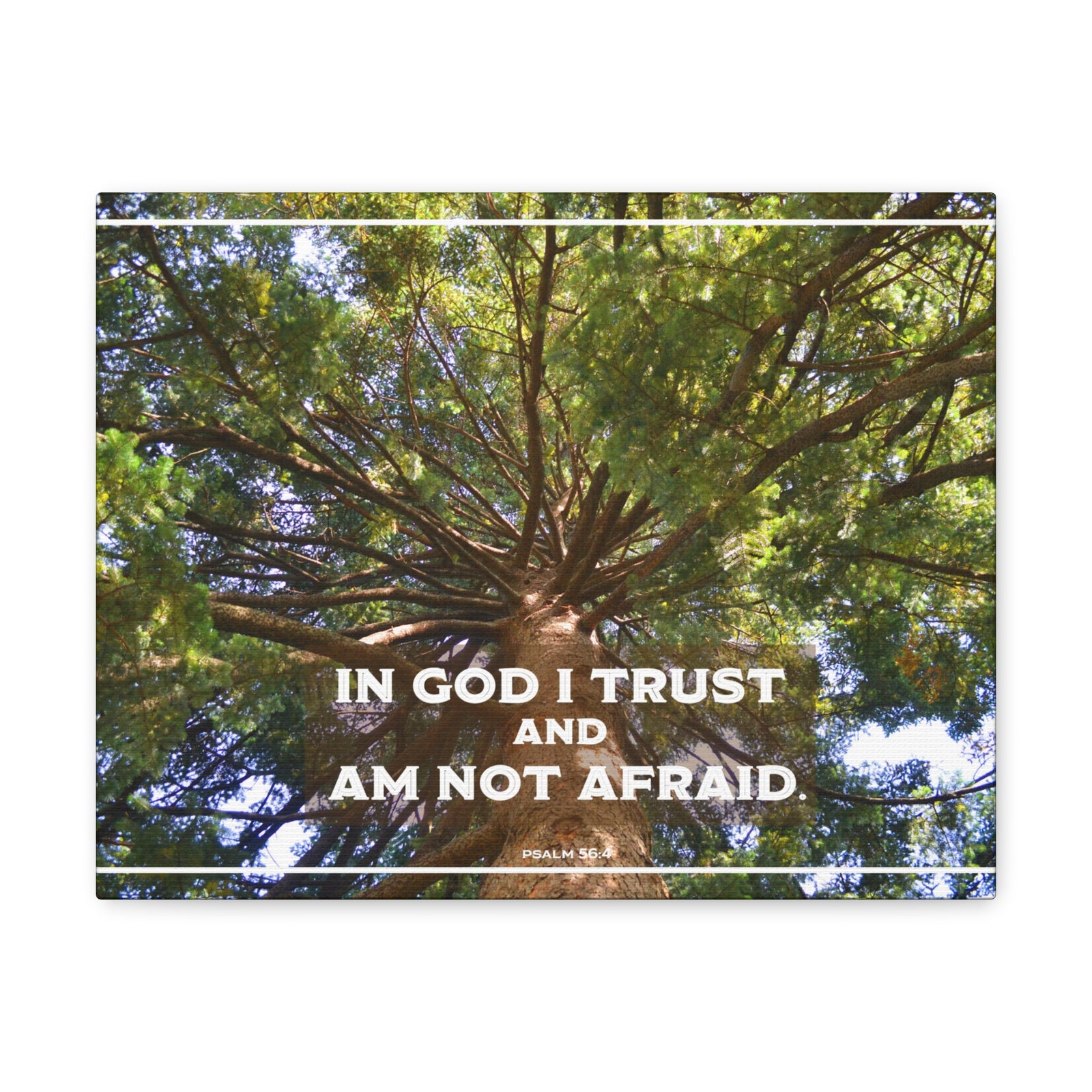 Scripture Walls In God I Trust Psalm 56:4 Bible Verse Canvas Christian Wall Art Ready to Hang-Express Your Love Gifts