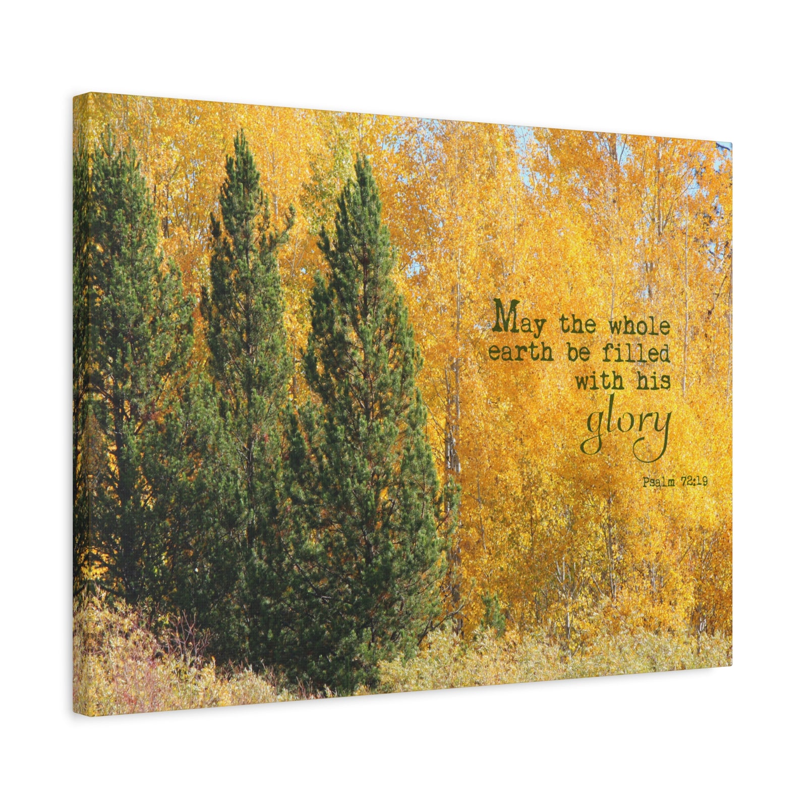 Scripture Walls Filled With His Glory Psalm 72:19 Bible Verse Canvas Christian Wall Art Bible Verse Print Ready To Hang-Express Your Love Gifts