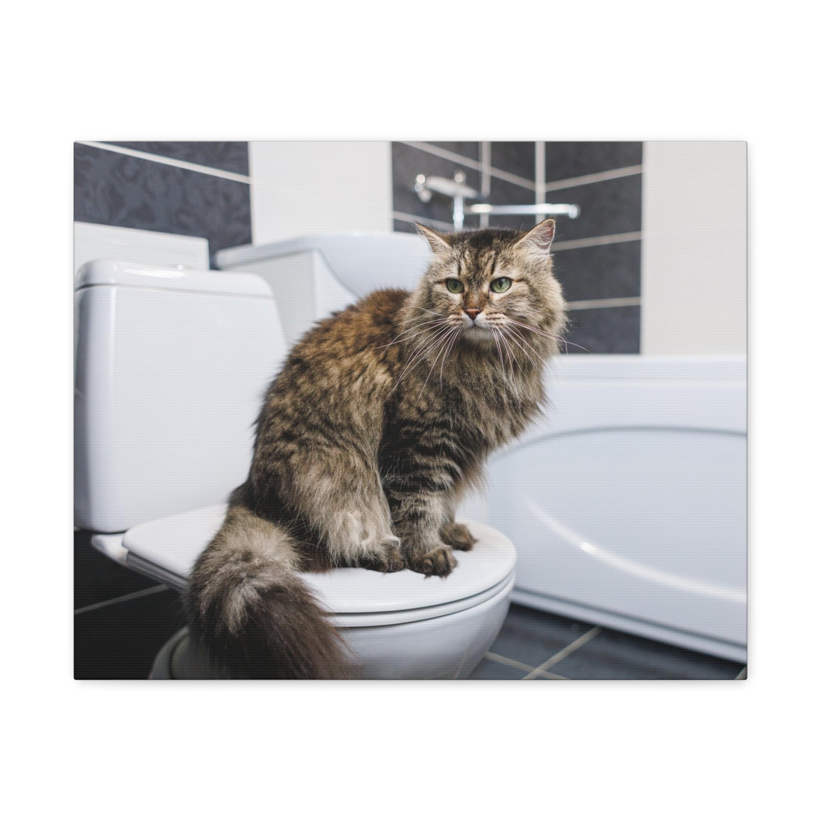 Cute Cat Sitting On Toilet Funny Canvas Wall Art for Home Decor Ready-to-Hand-Express Your Love Gifts