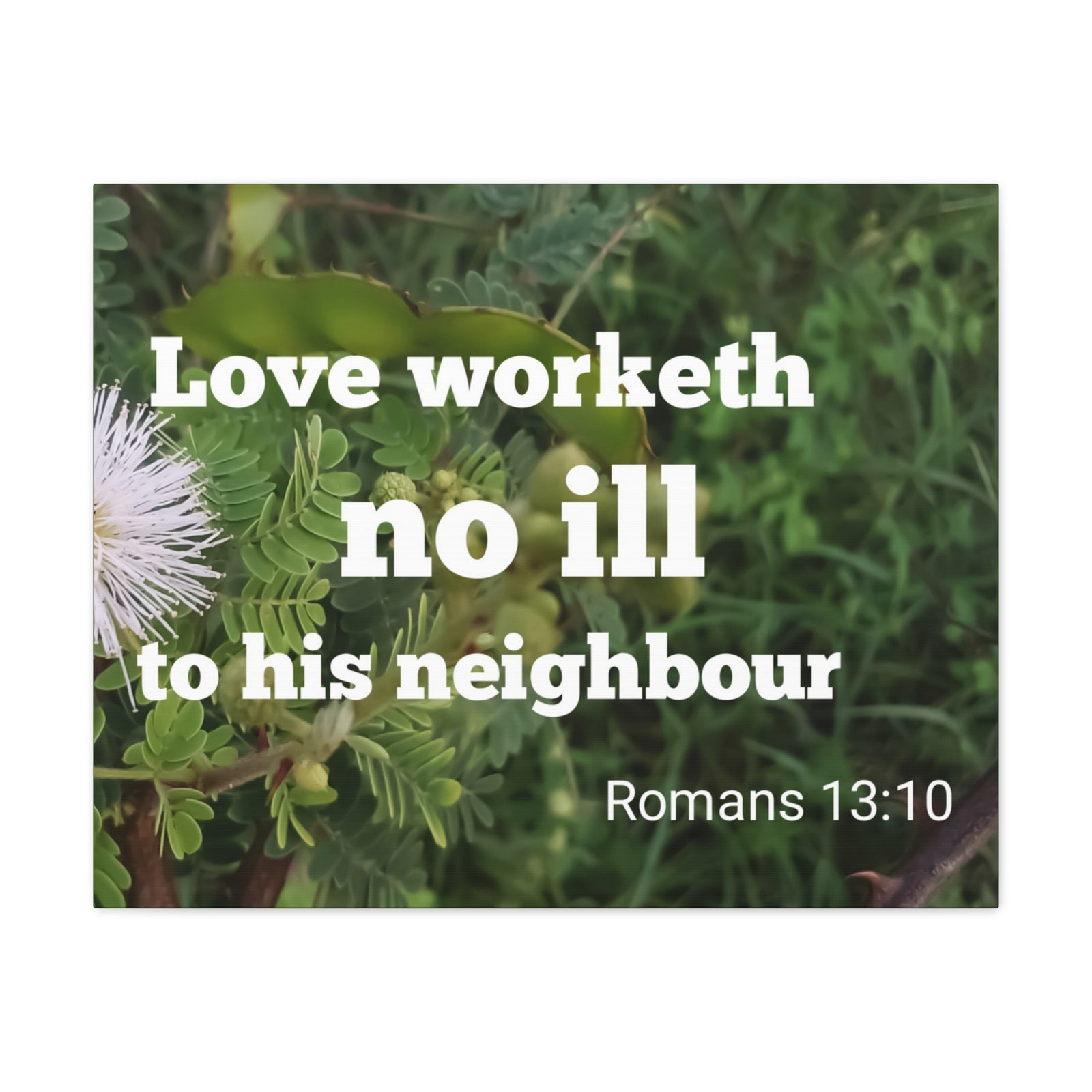 Scripture Canvas Neighbor Romans 13:10 Christian Wall Art Bible Verse Print Ready to Hang-Express Your Love Gifts