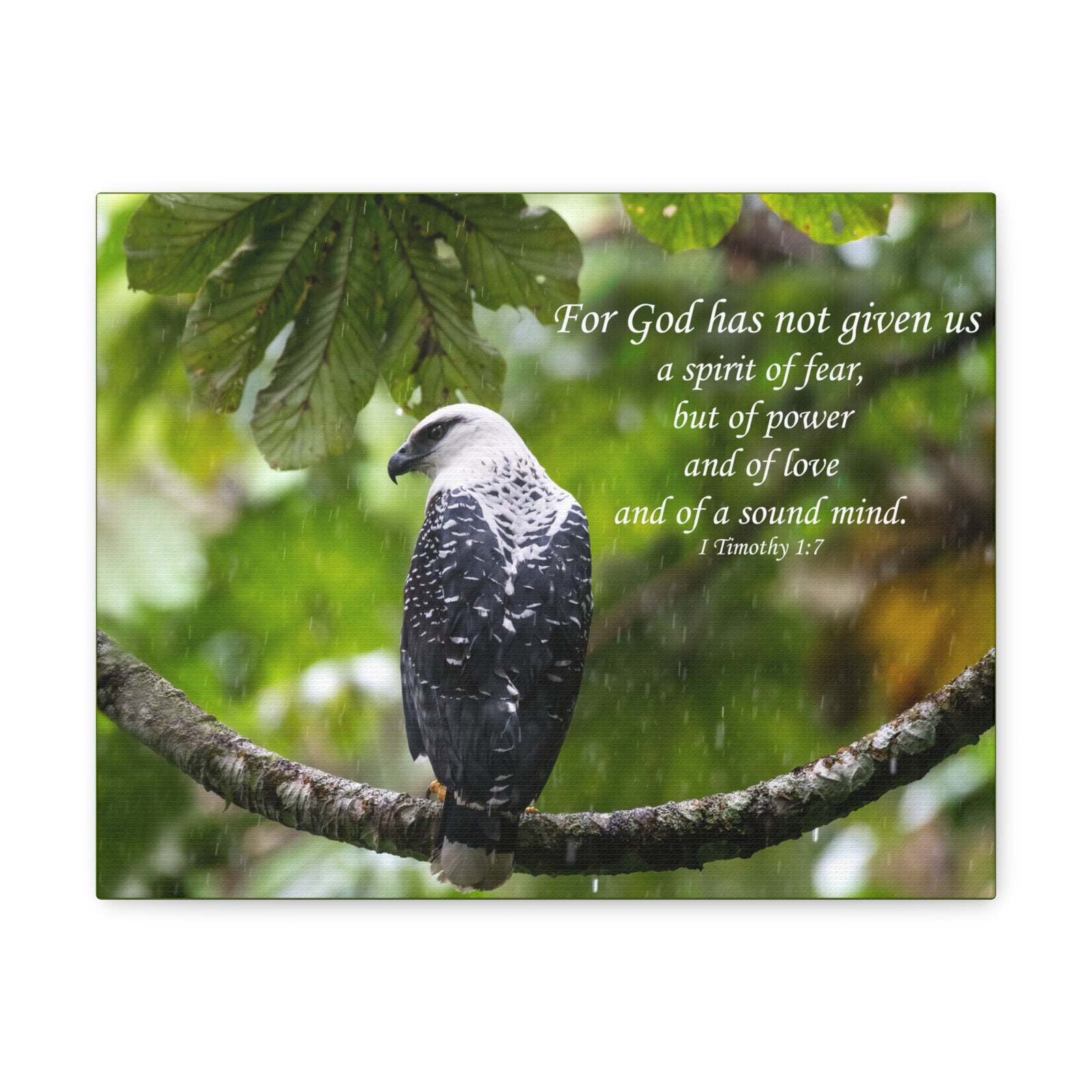 Scripture Canvas A Sound Mind 1 Timothy 1:7 Christian Wall Art Bible Verse Print Ready to Hang-Express Your Love Gifts