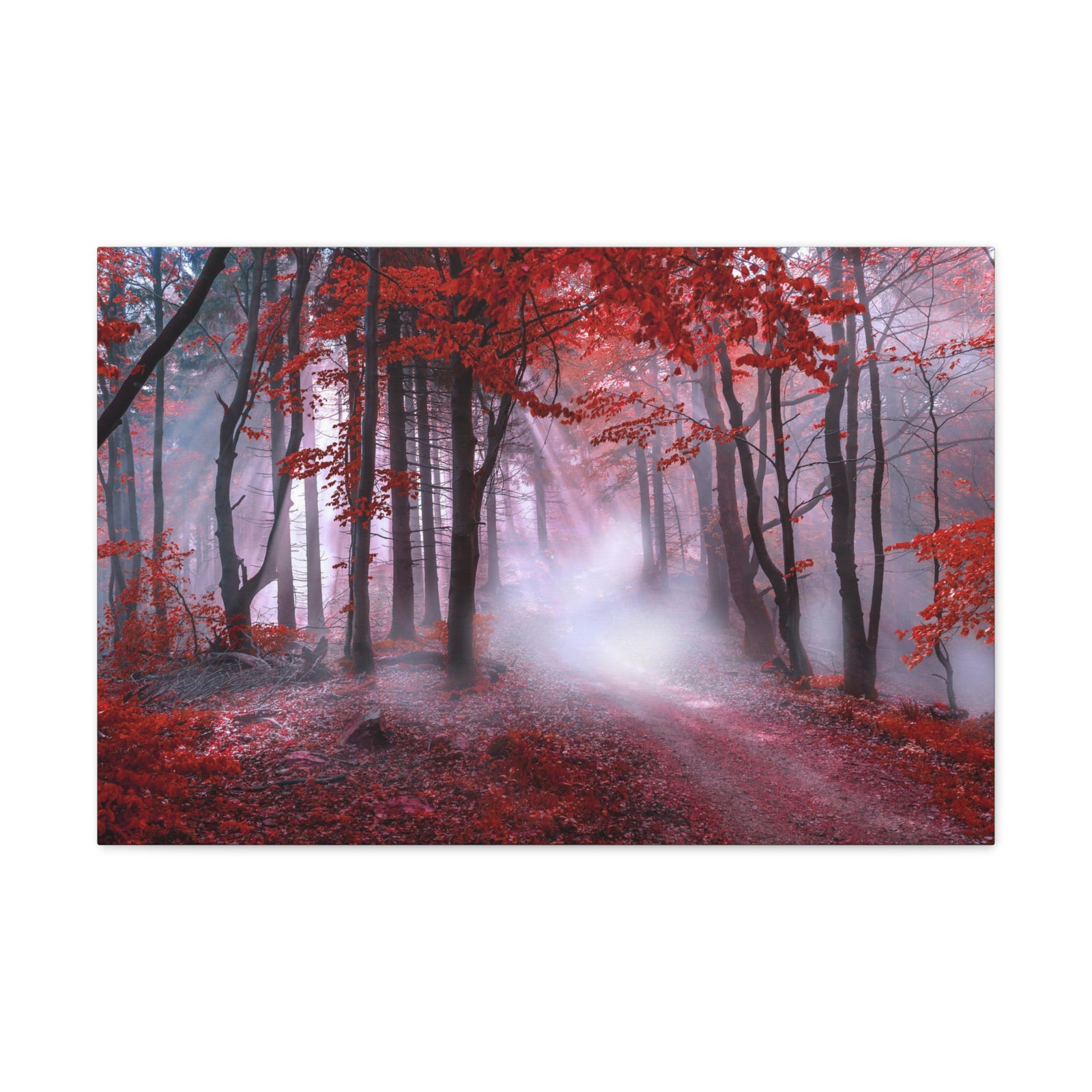 Foggy Autumn Forest Orange Leaves Nature Wilderness Photography Canvas Wall Art for Home Decor Ready-to-Hang-Express Your Love Gifts