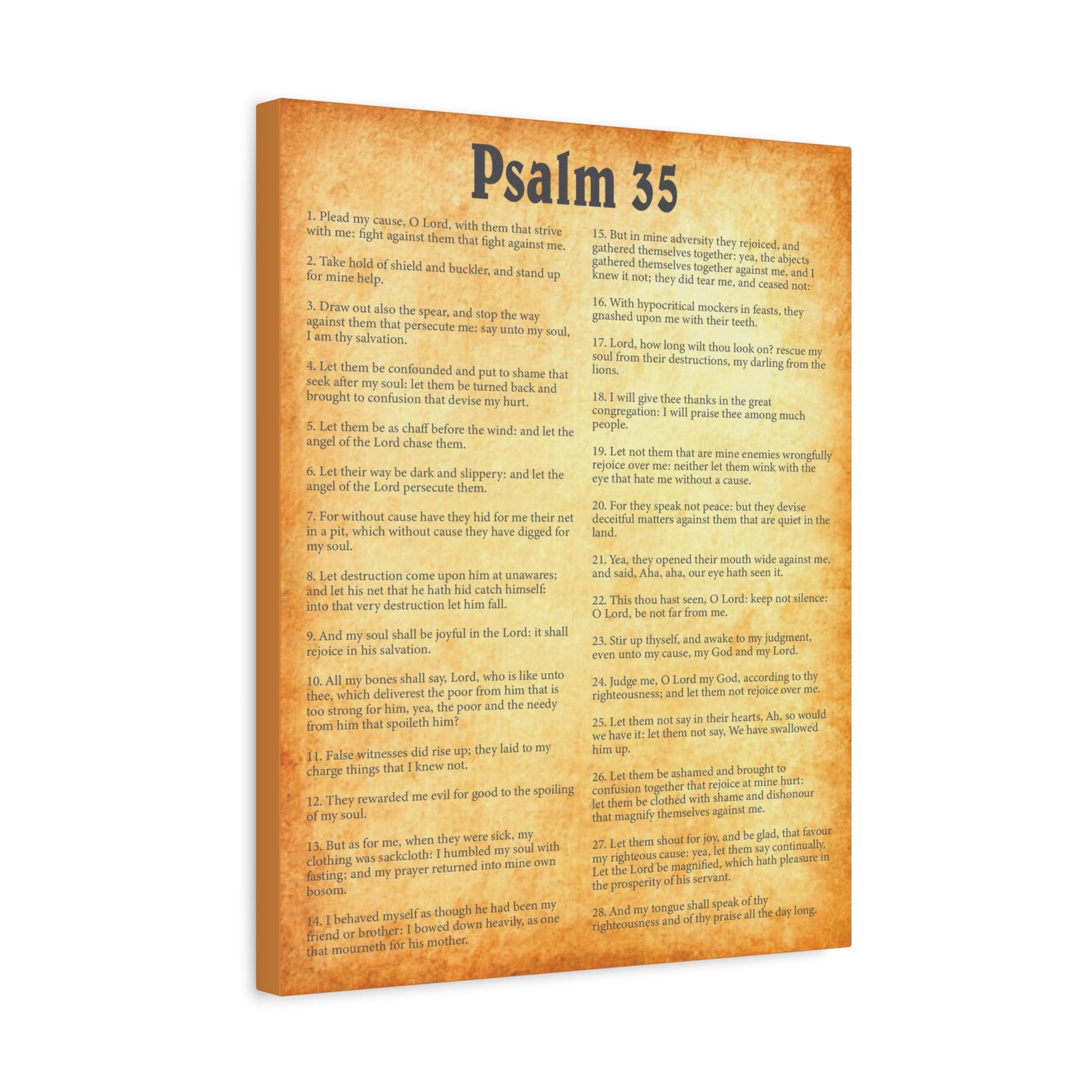 Scripture Walls Psalm 35 Gold Bible Chapter Canvas Christian Wall Art Ready to Hang-Express Your Love Gifts