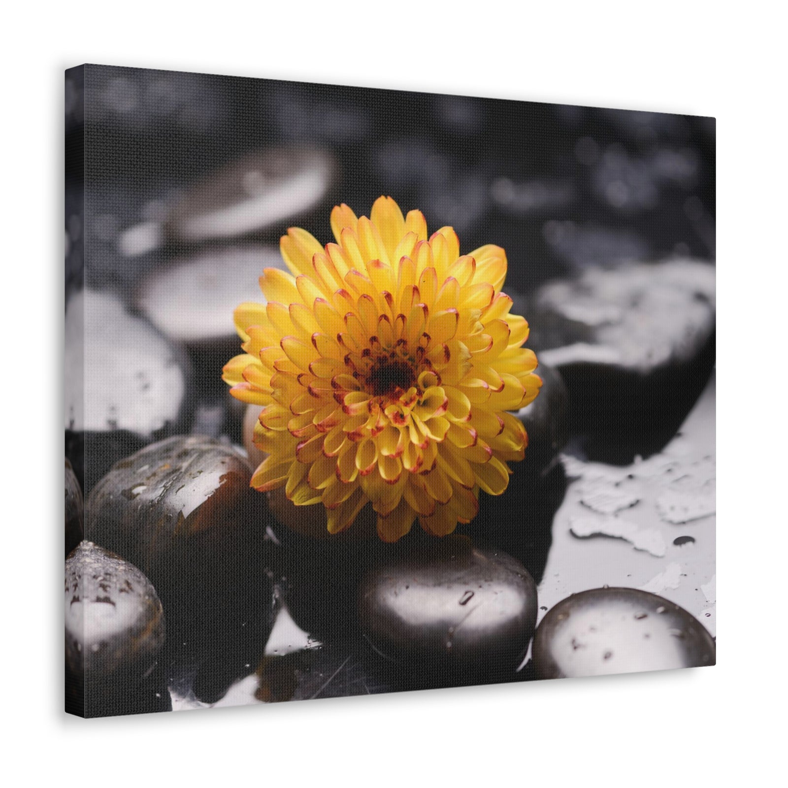 Macro of Yellow Flower Forest Floral Nature Photography Canvas Wall Art for Home Decor Ready-to-Hang-Express Your Love Gifts