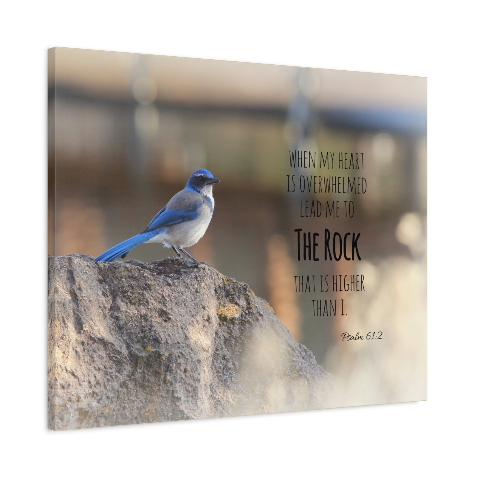 Scripture Canvas Higher Than I Psalm 61:2 Christian Wall Art Bible Verse Print Ready to Hang-Express Your Love Gifts