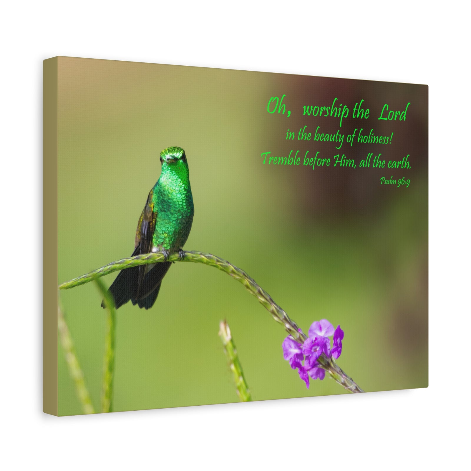 Scripture Walls Worship The Lord Psalm 96:9 Bible Verse Canvas Christian Wall Art Ready to Hang-Express Your Love Gifts