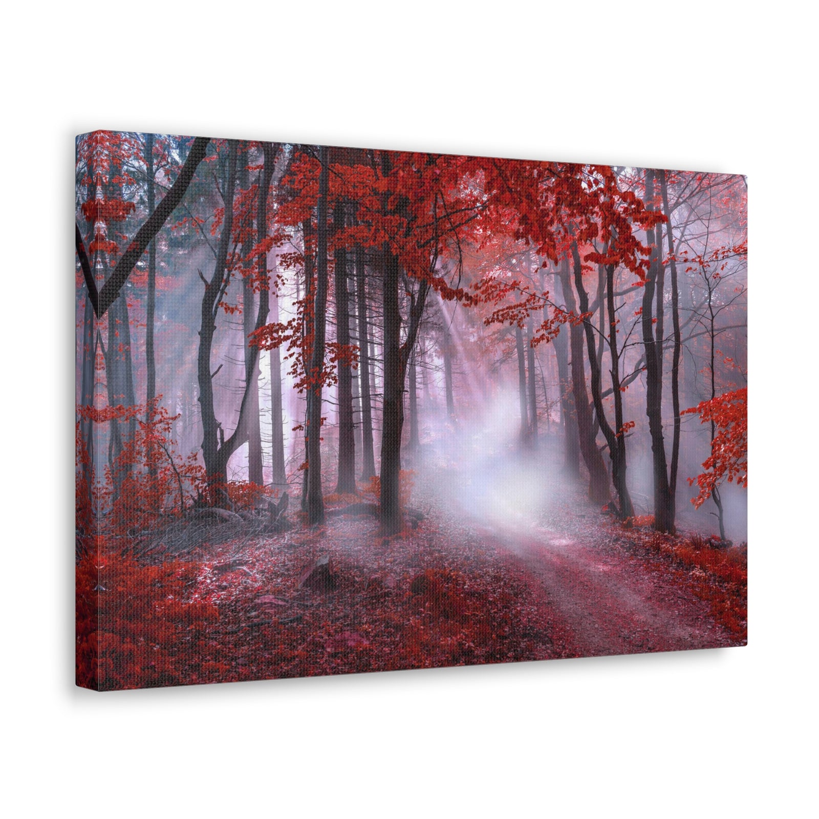 Foggy Autumn Forest Orange Leaves Nature Wilderness Photography Canvas Wall Art for Home Decor Ready-to-Hang-Express Your Love Gifts