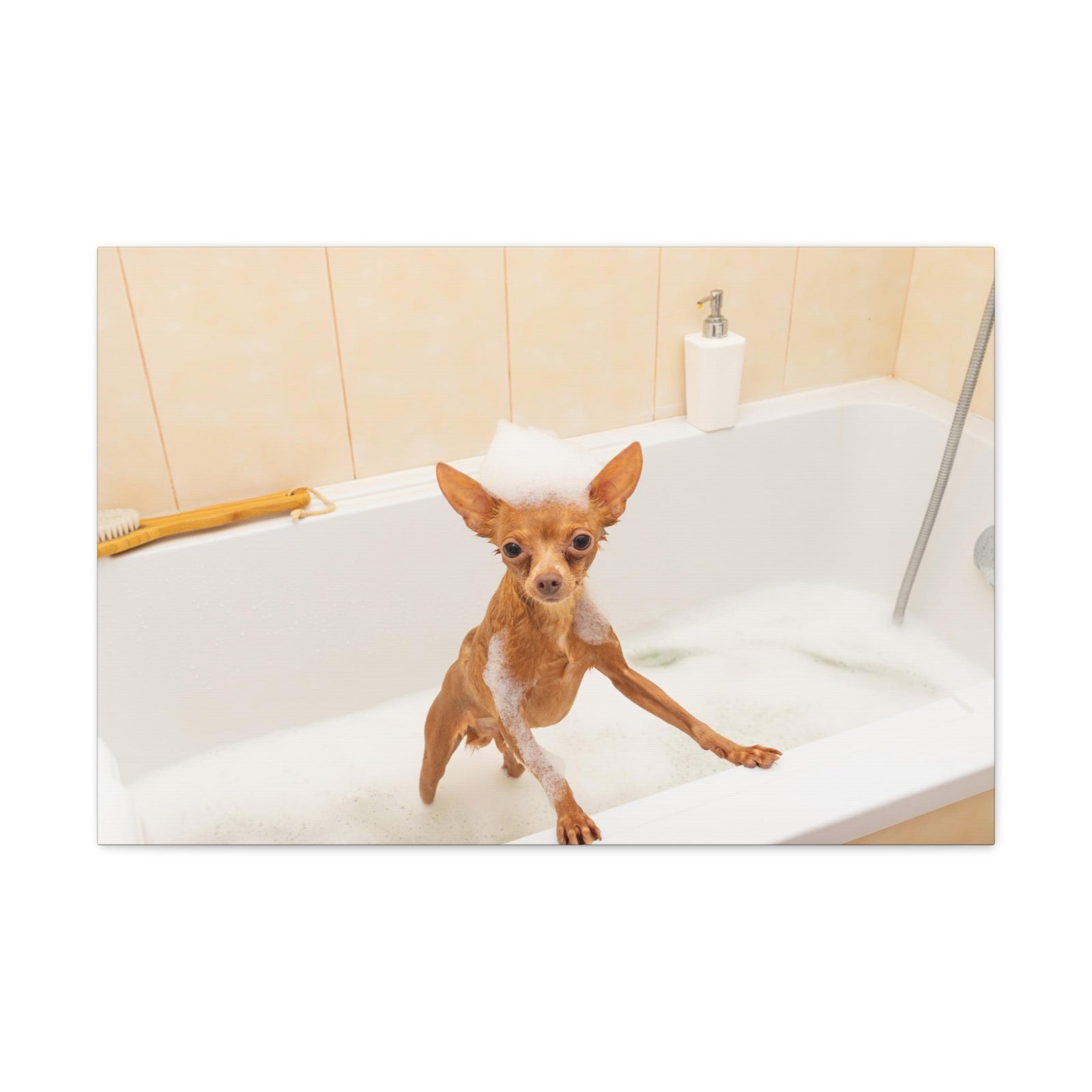 Cute Russkiy Toy Bath Canvas Wall Art for Home Decor Ready-to-Hang-Express Your Love Gifts