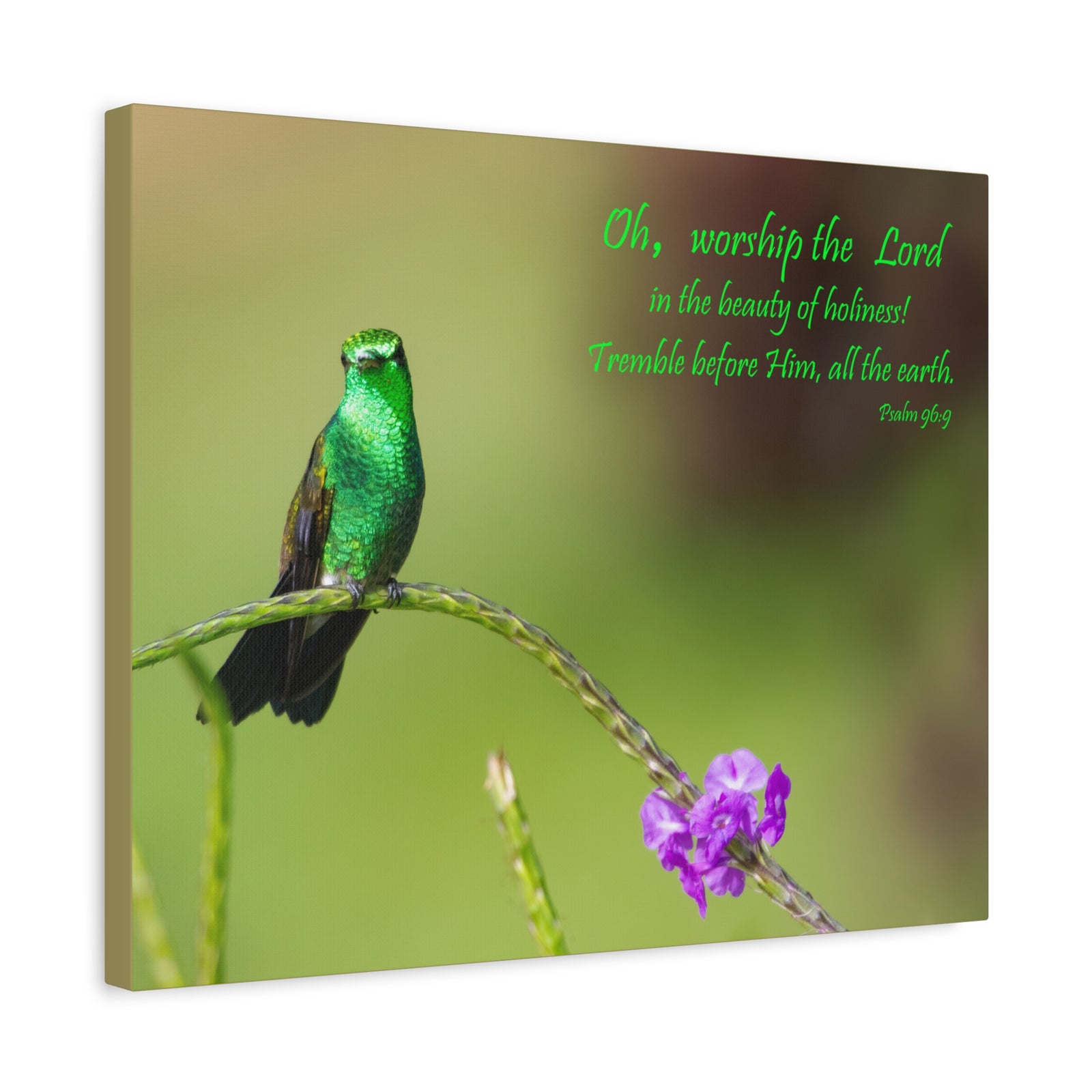Scripture Walls Worship The Lord Psalm 96:9 Bible Verse Canvas Christian Wall Art Ready to Hang-Express Your Love Gifts