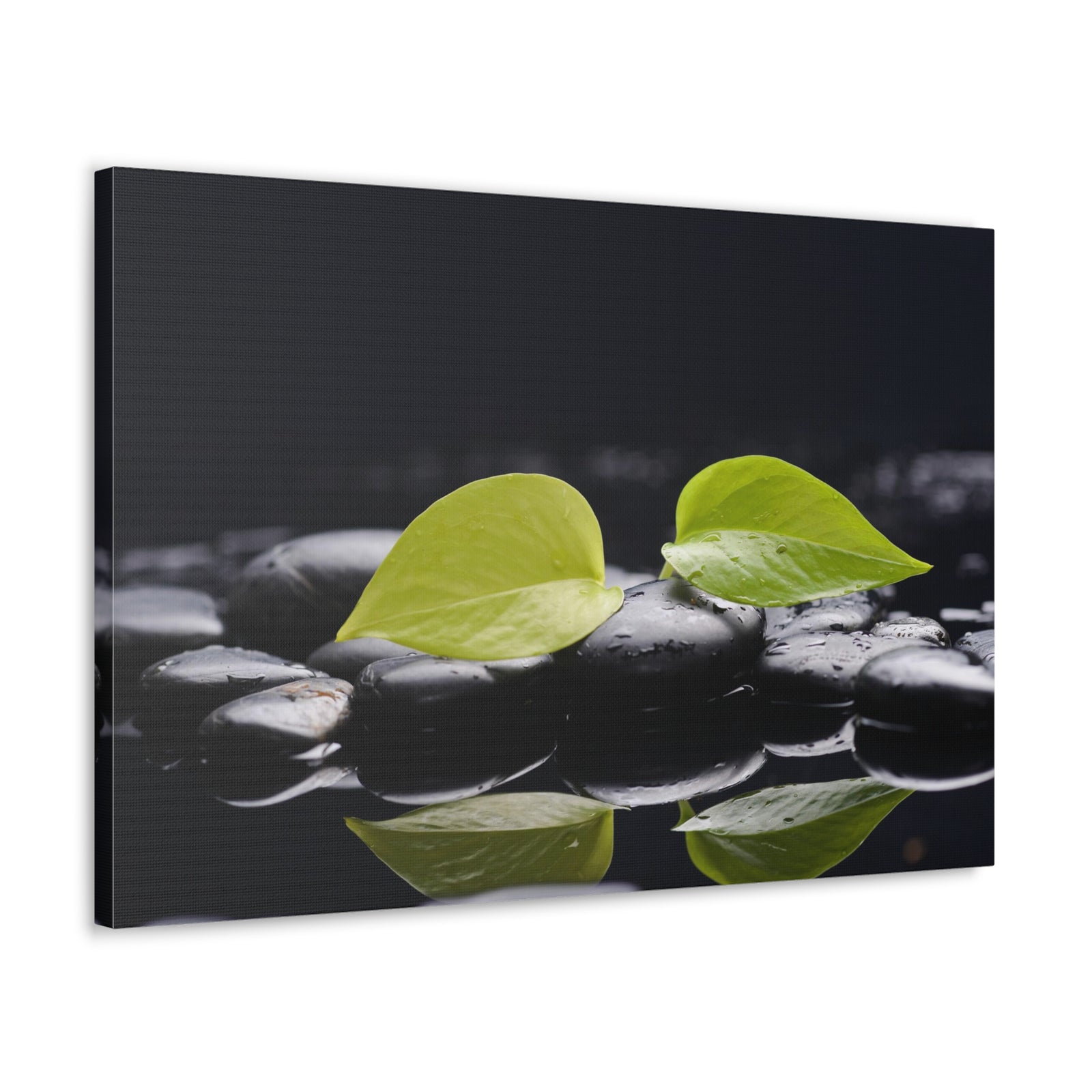 Green Leaf with Stones Forest Floral Nature Photography Canvas Wall Art for Home Decor Ready-to-Hang-Express Your Love Gifts
