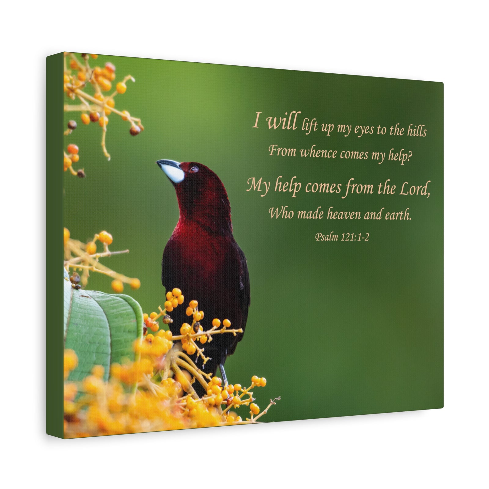 Scripture Walls Psalm 121:1-2 Heaven and Earth Bible Verse Canvas Christian Wall Art Ready to Hang Unframed-Express Your Love Gifts