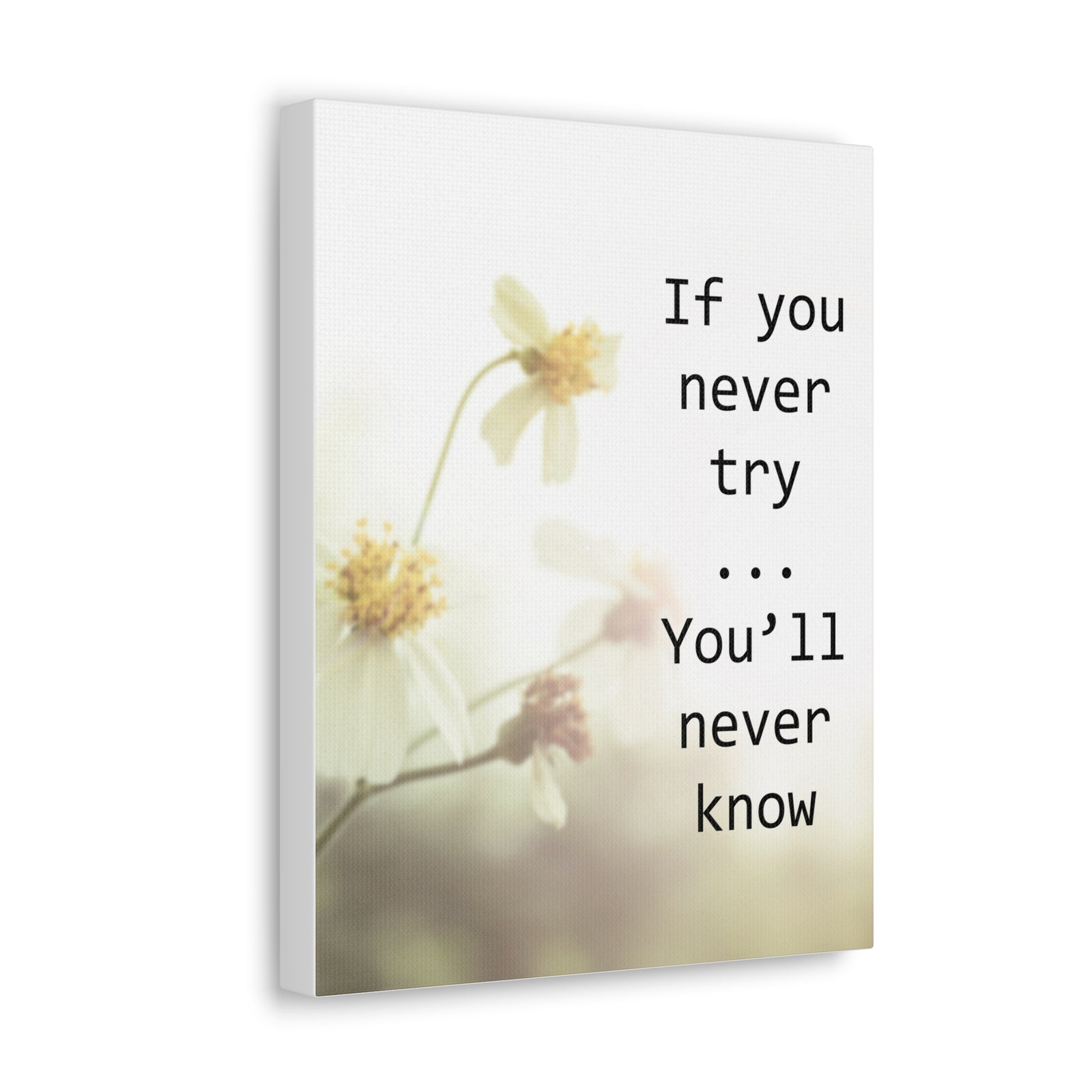 Inspirational Quote Canvas If You Never Try You'll Never Know Wall Art Motivational Motto Inspiring Prints Artwork Decor Ready to Hang-Express Your Love Gifts