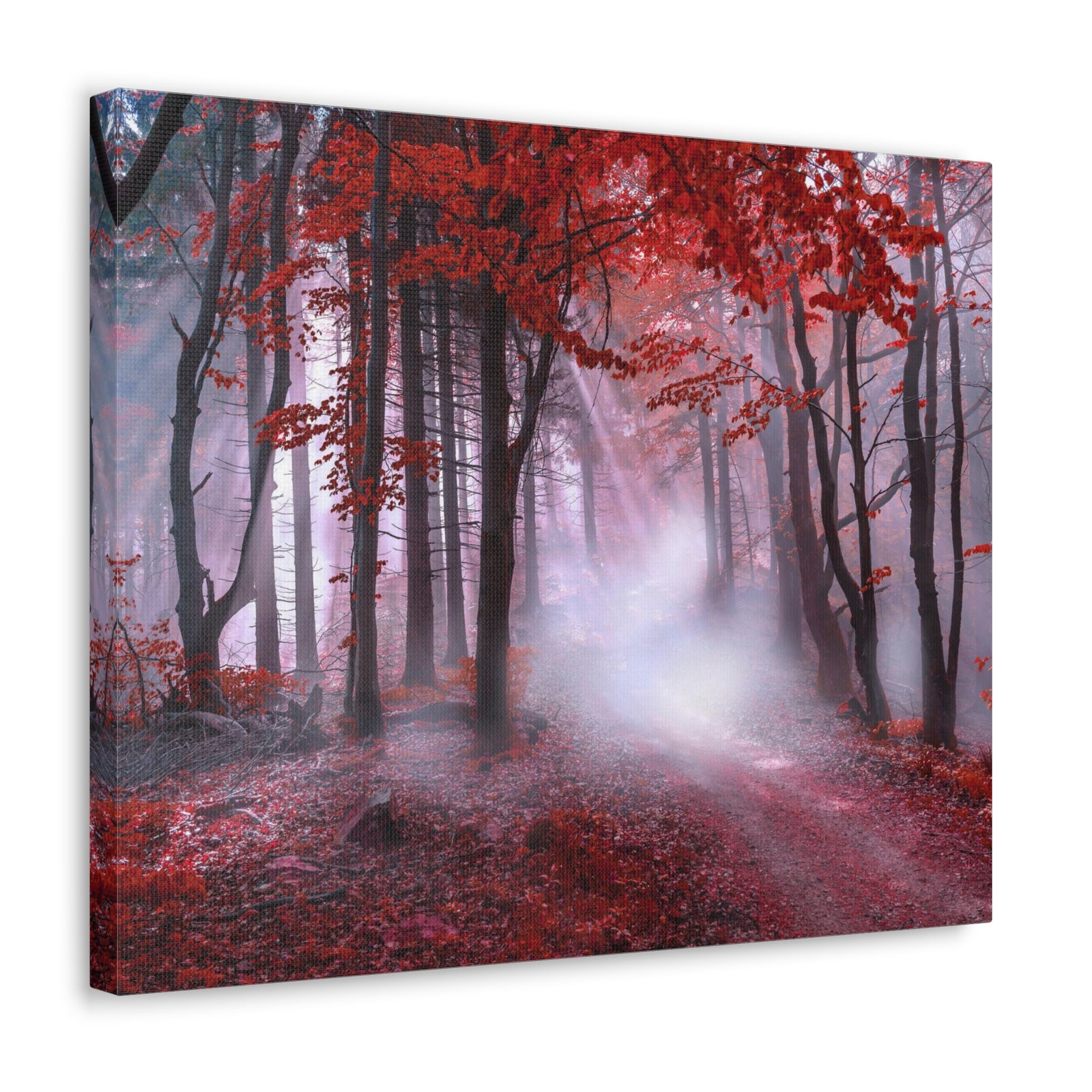 Foggy Autumn Forest Orange Leaves Nature Wilderness Photography Canvas Wall Art for Home Decor Ready-to-Hang-Express Your Love Gifts