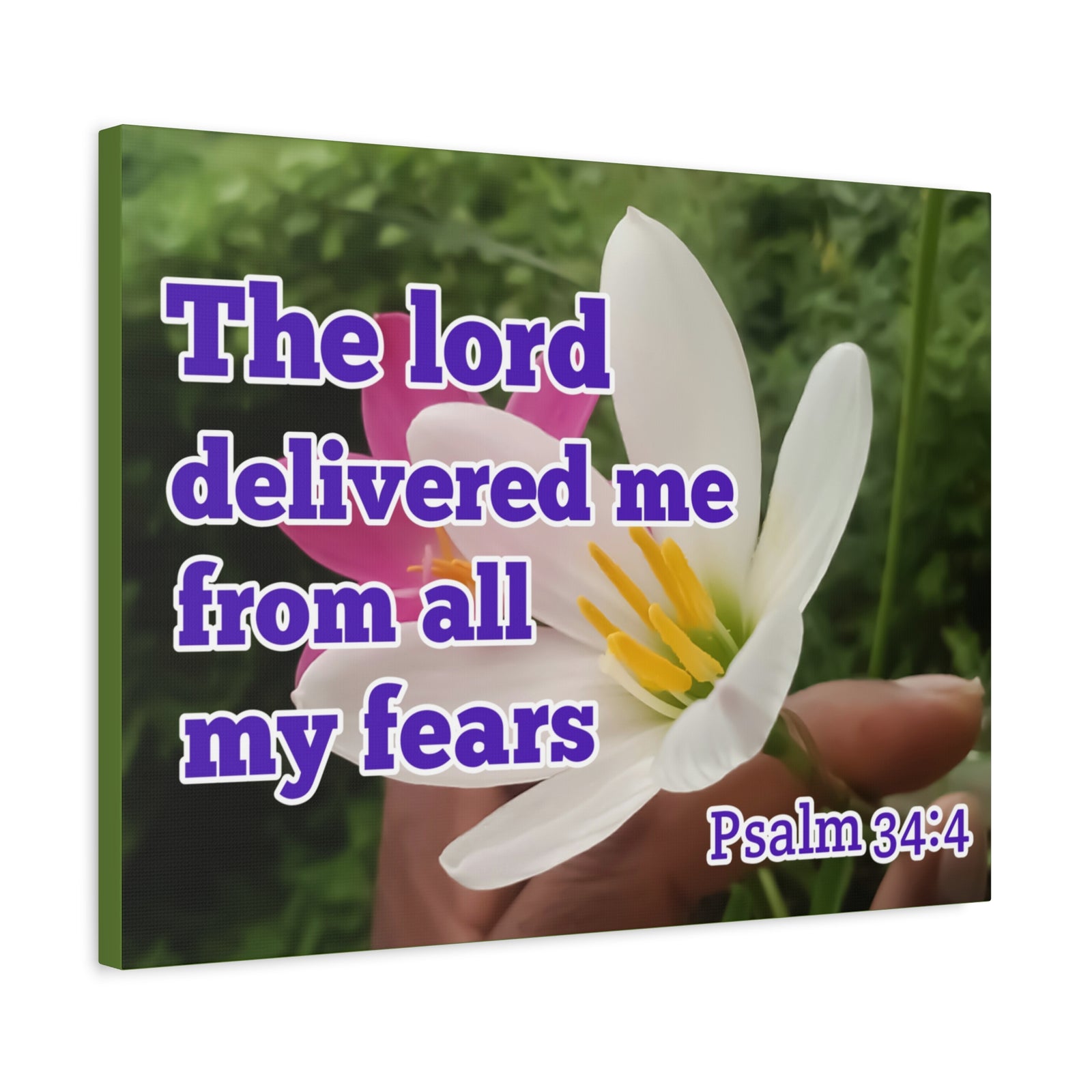 Scripture Walls The Lord Delivered Me Psalm 34:4 Bible Verse Canvas Christian Wall Art Ready to Hang-Express Your Love Gifts