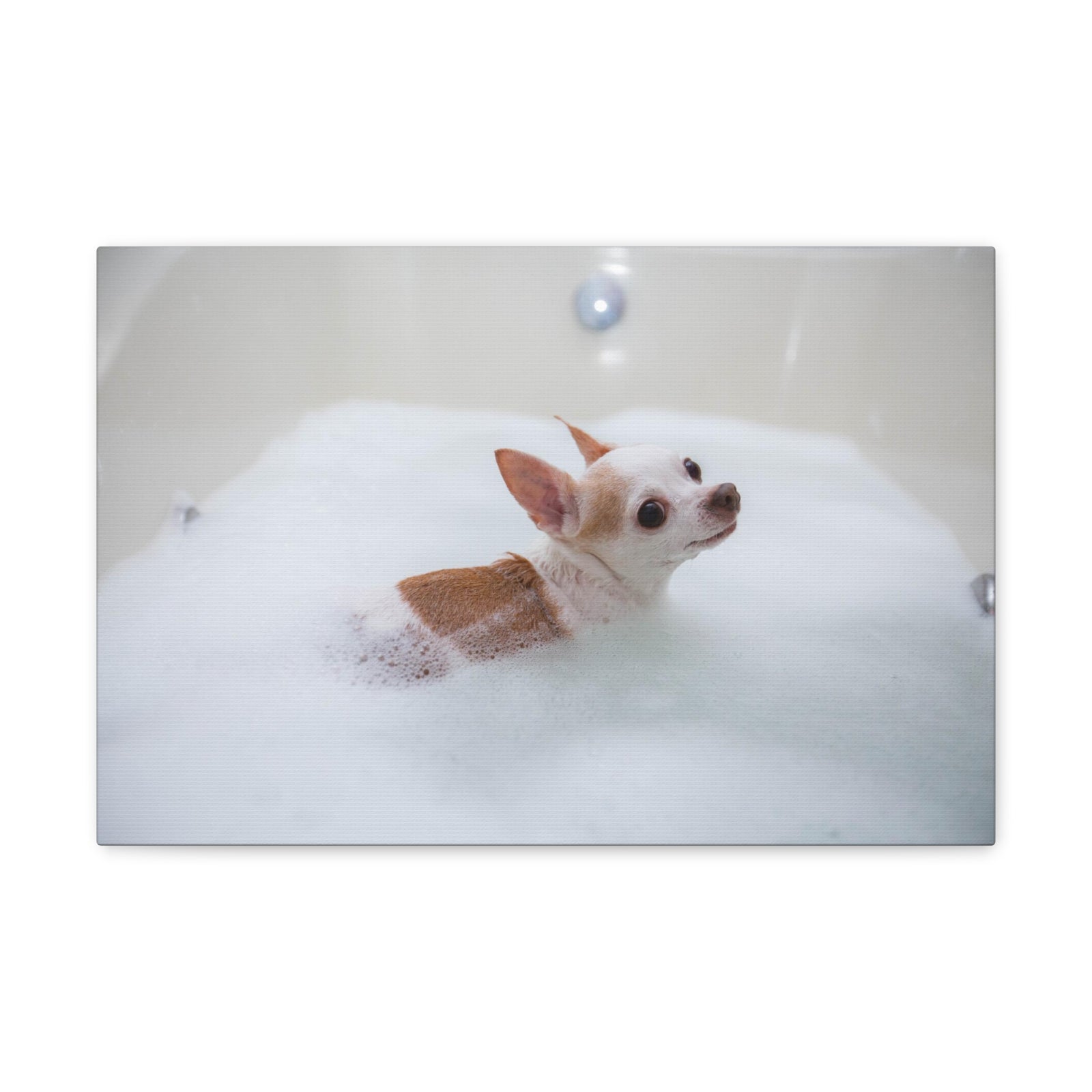 Cute Chihuahua Bathee Canvas Wall Art for Home Decor Ready-to-Hang-Express Your Love Gifts