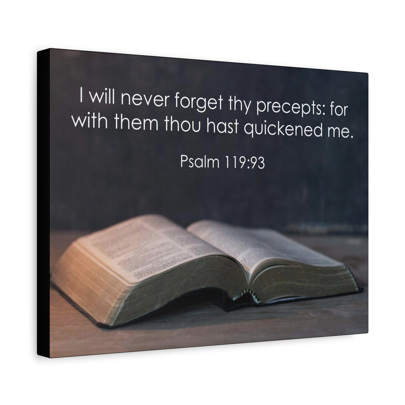 Bible Verse Canvas Never Forget Thy Precepts Psalm 119:93 Christian Home Décor Wall Art Scripture Ready to Hang Faith Print-Express Your Love Gifts
