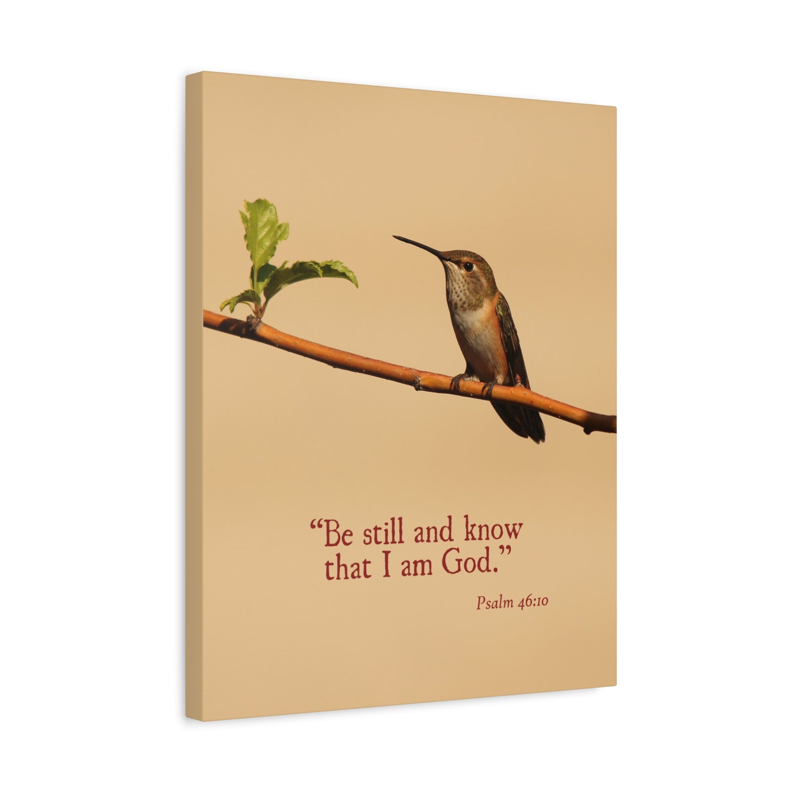 Scripture Canvas Know That I Am God Psalm 46:10 Christian Wall Art Bible Verse Print Ready to Hang-Express Your Love Gifts