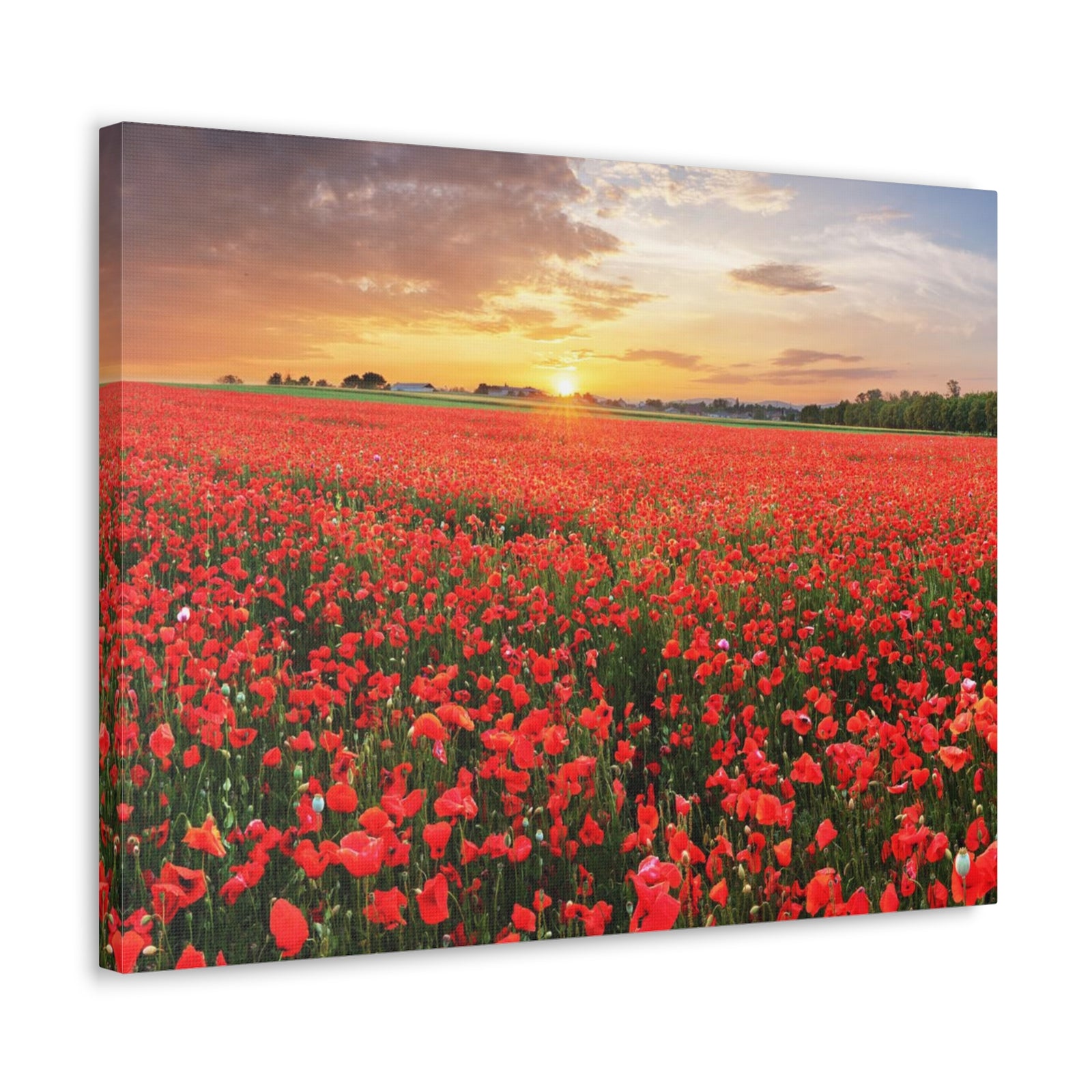Nice Sunset Over Poppy Field Flower Canvas Wall Art for Home Decor Ready-to-Hang-Express Your Love Gifts