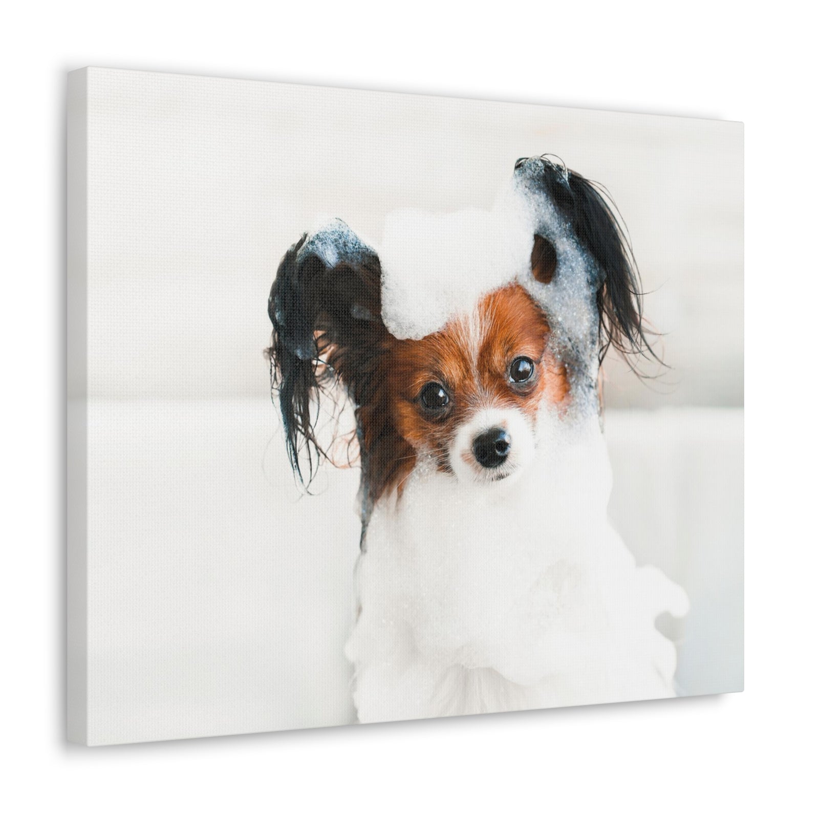 Cute Papillon Bath Canvas Wall Art for Home Decor Ready-to-Hang-Express Your Love Gifts