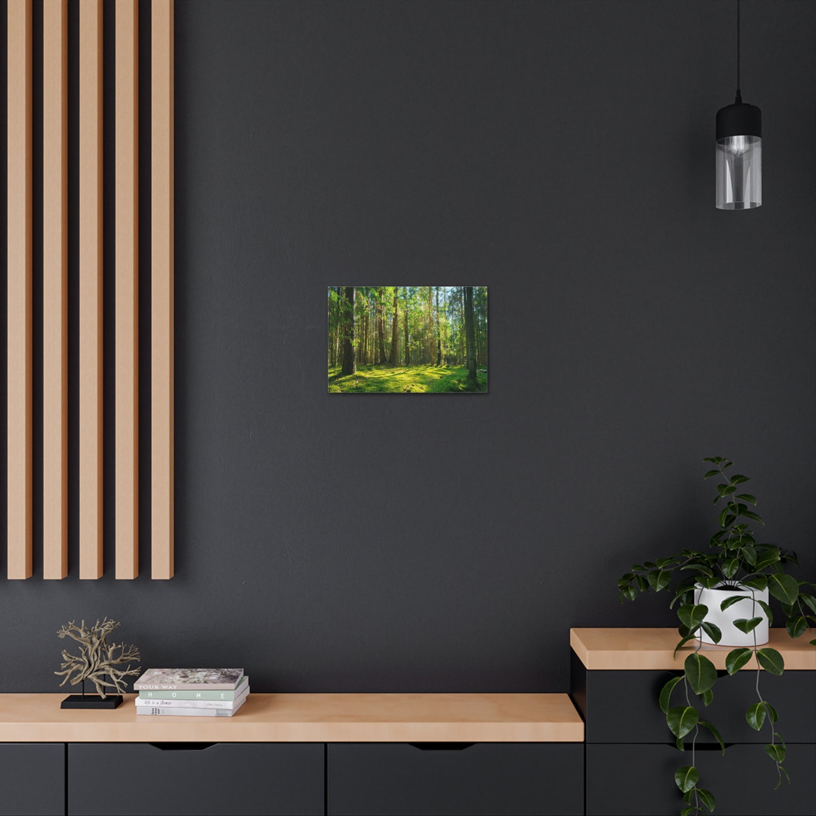 Sunlight Green Forest Tree Nature Wilderness Photography Canvas Wall Art for Home Decor Ready-to-Hang-Express Your Love Gifts