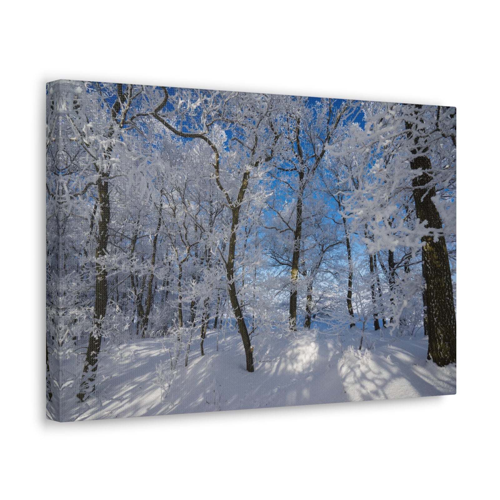 Winter Trees In The Countryside Bright Sun Backlight Canvas Wall Art for Home Decor Ready-to-Hang-Express Your Love Gifts