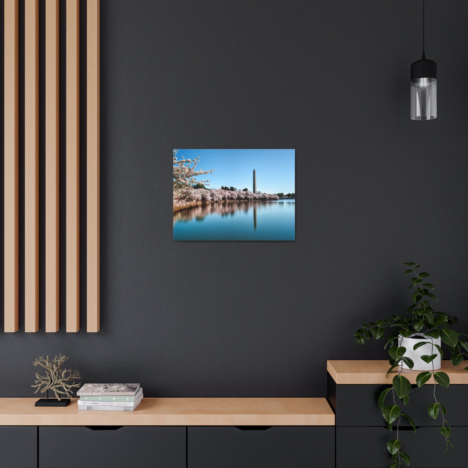 Cherry Blossom Festival at The National Mall Washington Modern Multicolor Scenic Nature Photography Canvas Home Office Decor Ready to Hang-Express Your Love Gifts