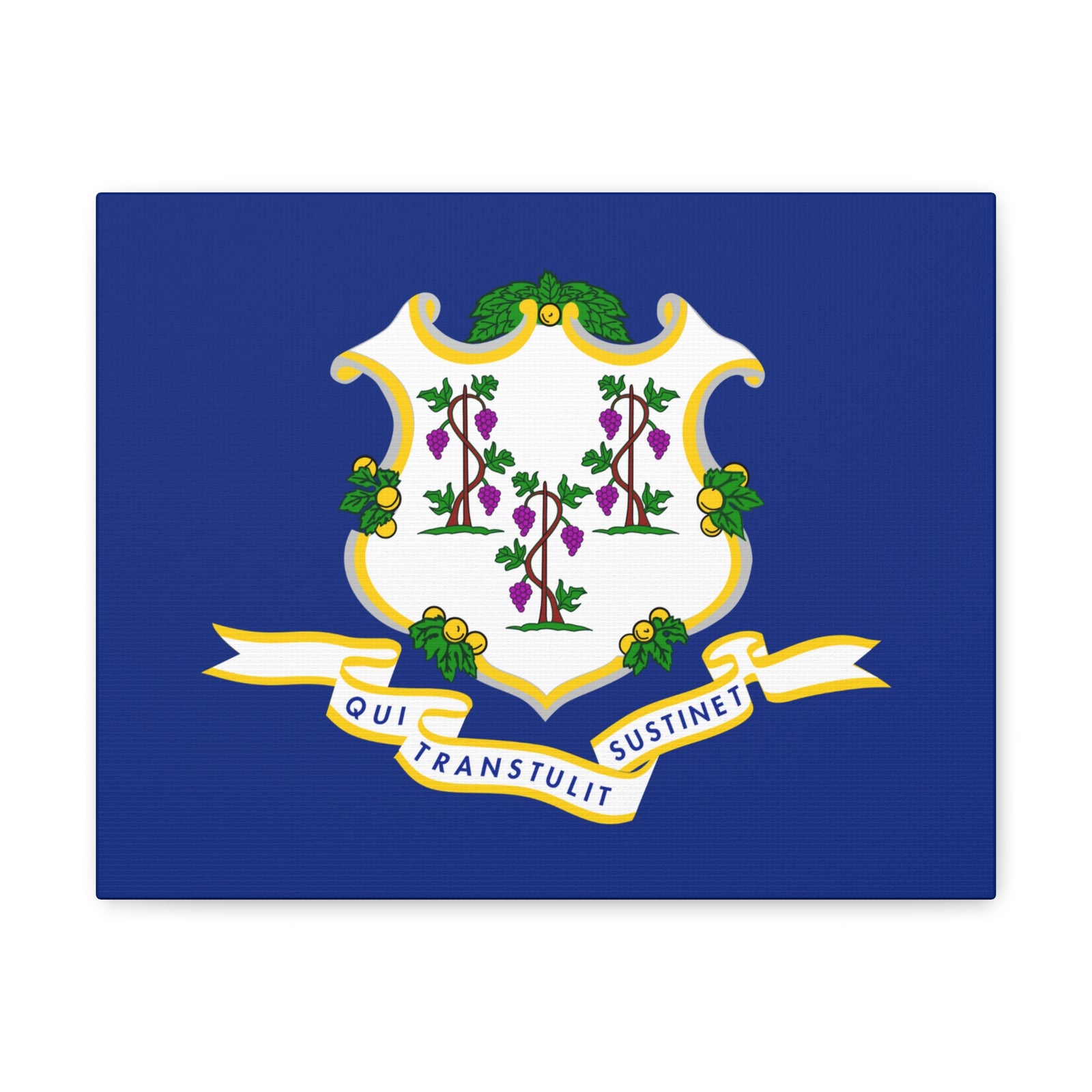 Connecticut State Flag Canvas Vibrant Wall Art Unframed Home Decor-Express Your Love Gifts
