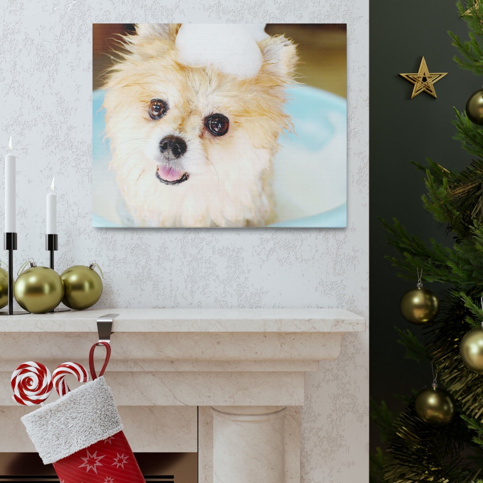 Cute Pomeranian Bathee Canvas Wall Art for Home Decor Ready-to-Hang-Express Your Love Gifts