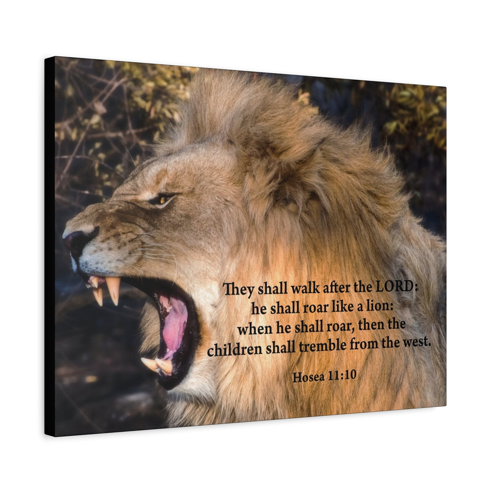 Scripture Canvas Roaring Lion of Judah Hosea 11:10 Christian Wall Art Bible Verse Print Ready to Hang-Express Your Love Gifts