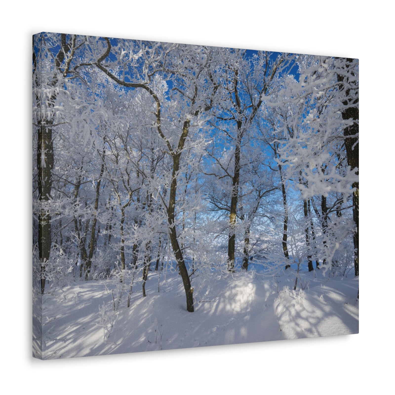 Winter Trees In The Countryside Bright Sun Backlight Canvas Wall Art for Home Decor Ready-to-Hang-Express Your Love Gifts