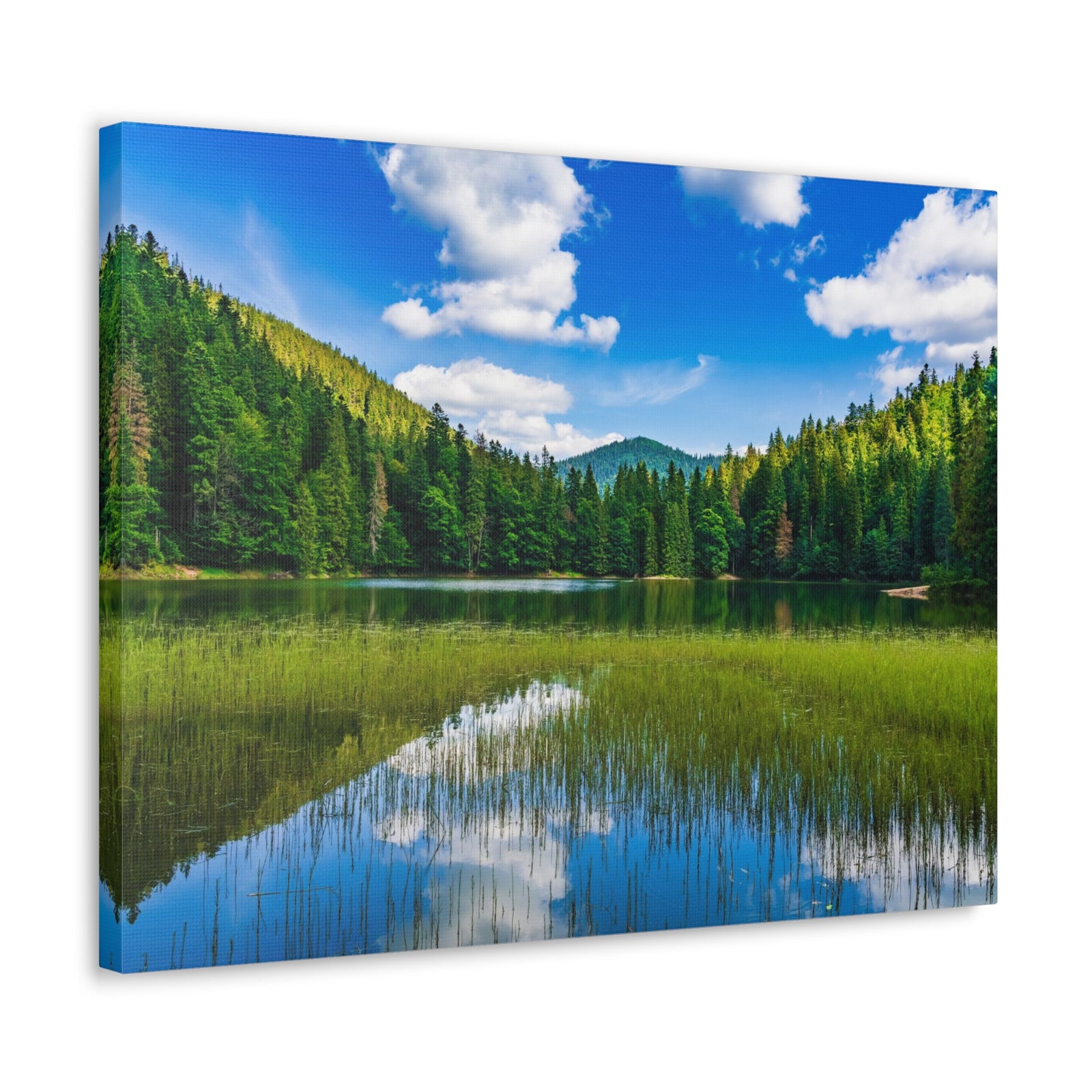 Teal Clear Forest LakeNature Wilderness Photography Canvas Wall Art for Home Decor Ready-to-Hang-Express Your Love Gifts