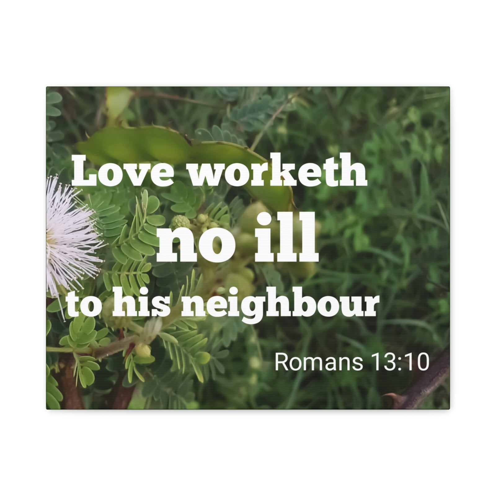 Scripture Canvas Neighbor Romans 13:10 Christian Wall Art Bible Verse Print Ready to Hang-Express Your Love Gifts