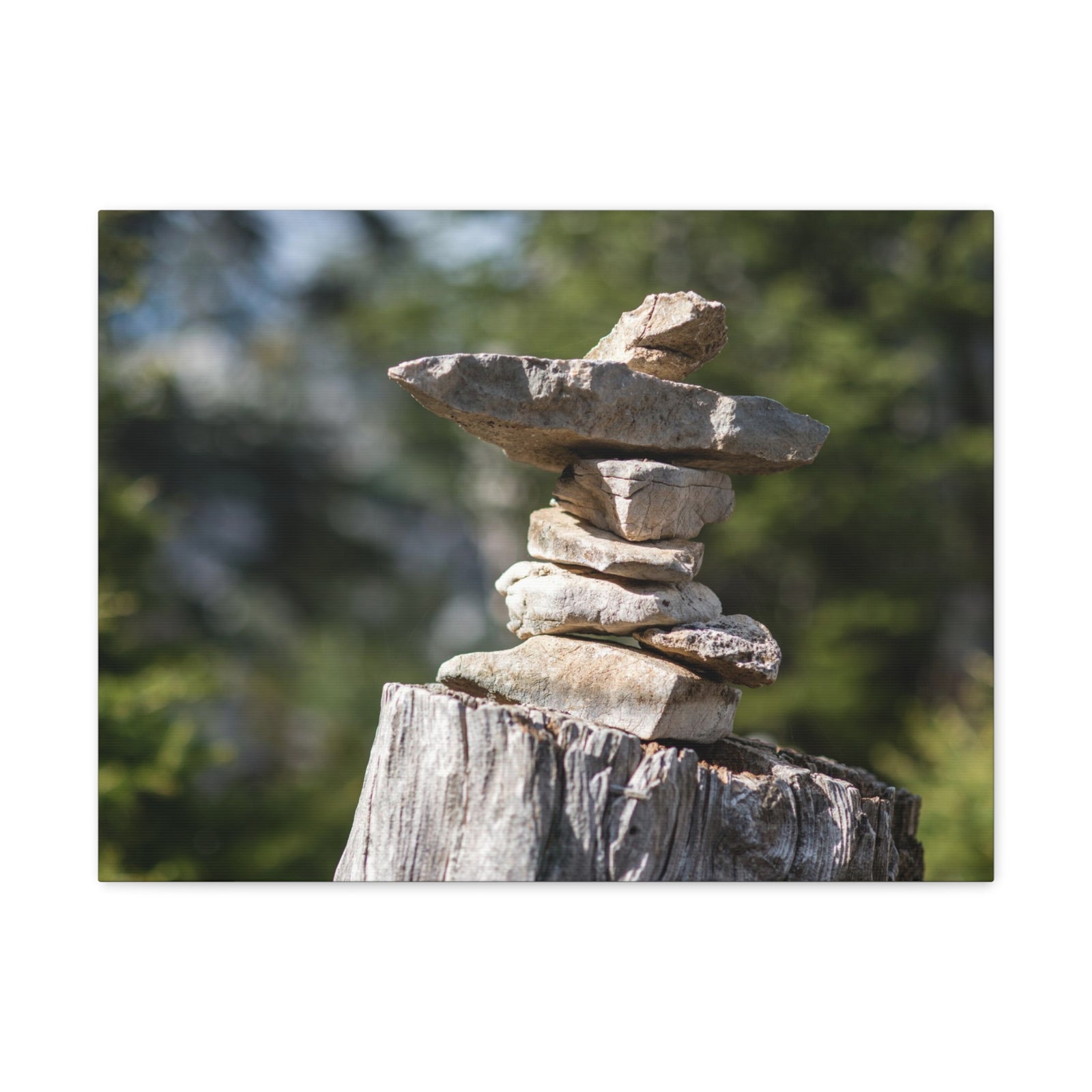 Stones Trail as Marker Forest Floral Nature Photography Canvas Wall Art for Home Decor Ready-to-Hang-Express Your Love Gifts