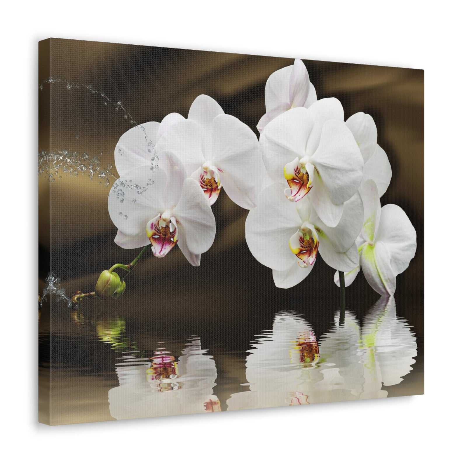 Orchids Reflected in Water Flower Canvas Wall Art for Home Decor Ready-to-Hang-Express Your Love Gifts
