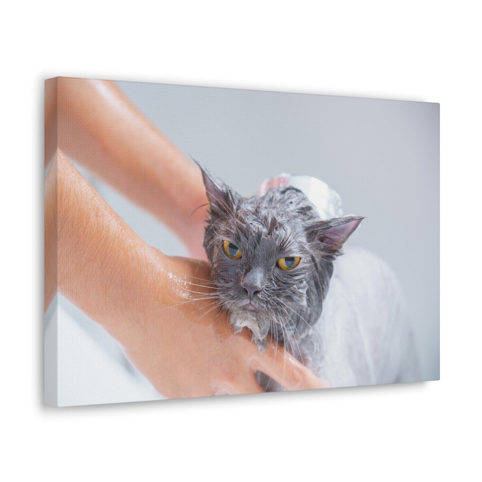 Cute Persian Cat Bath Canvas Wall Art for Home Decor Ready-to-Hang-Express Your Love Gifts