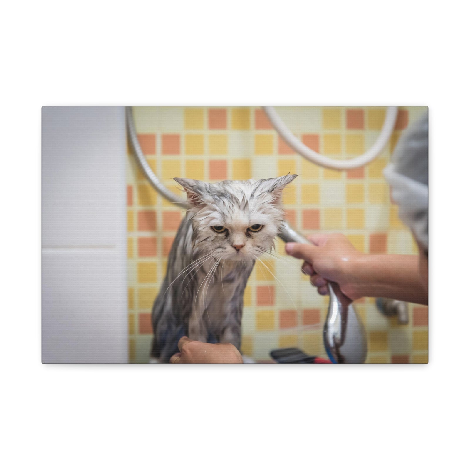 Cute Maine Coon Bath Canvas Wall Art for Home Decor Ready-to-Hang-Express Your Love Gifts