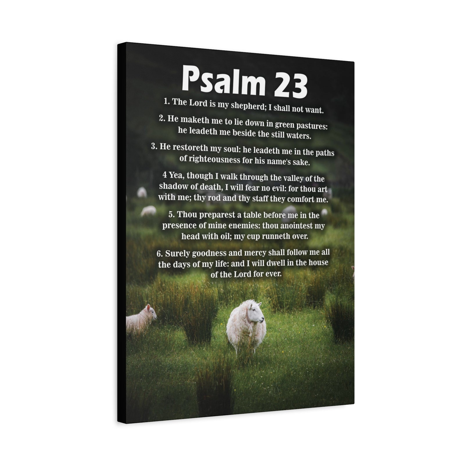 Scripture Walls The Lord is My Shepherd Psalm 23:3 Christian Wall Art Bible Verse Print Ready to Hang-Express Your Love Gifts