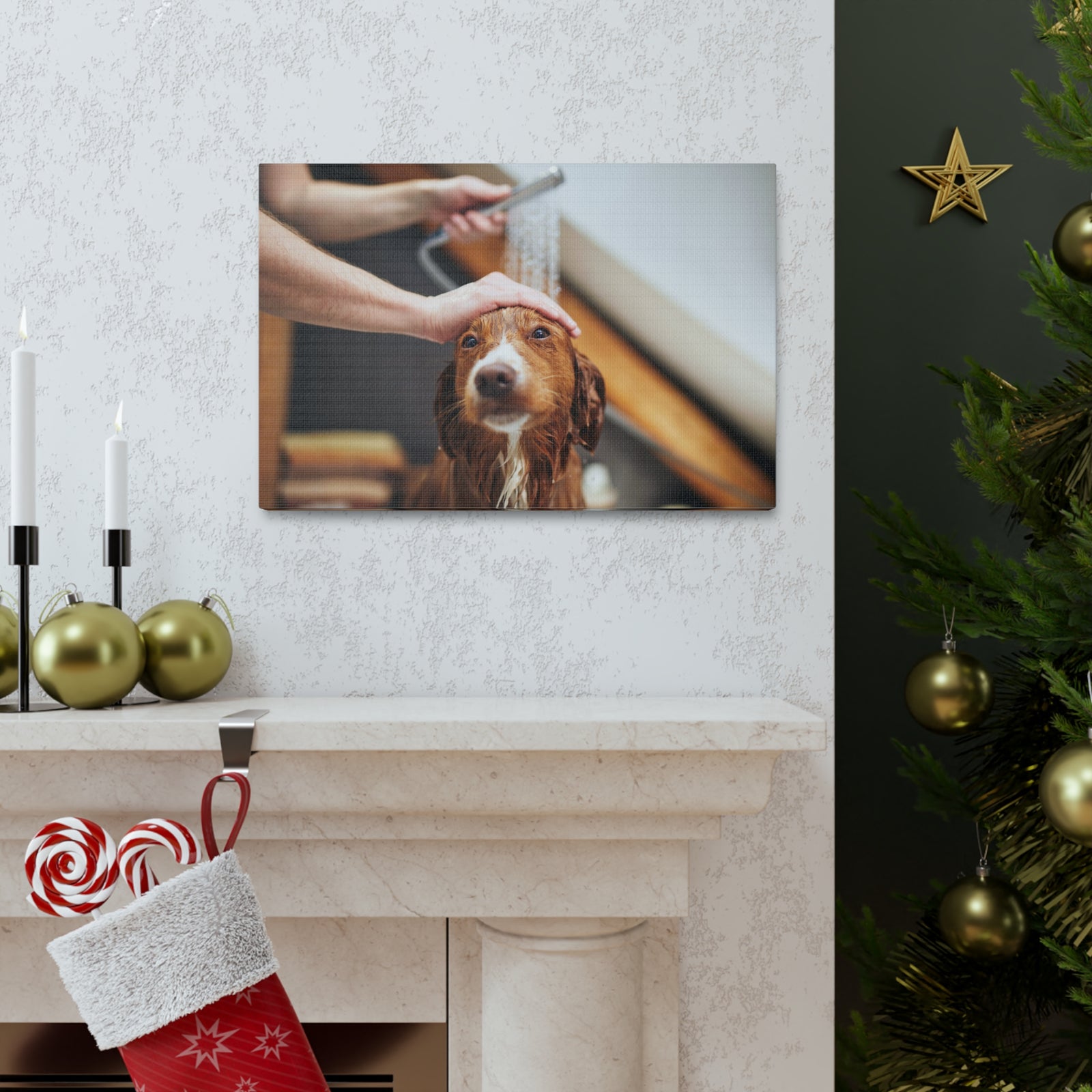 Cute Tolling Retriever Bath Canvas Wall Art for Home Decor Ready-to-Hang-Express Your Love Gifts