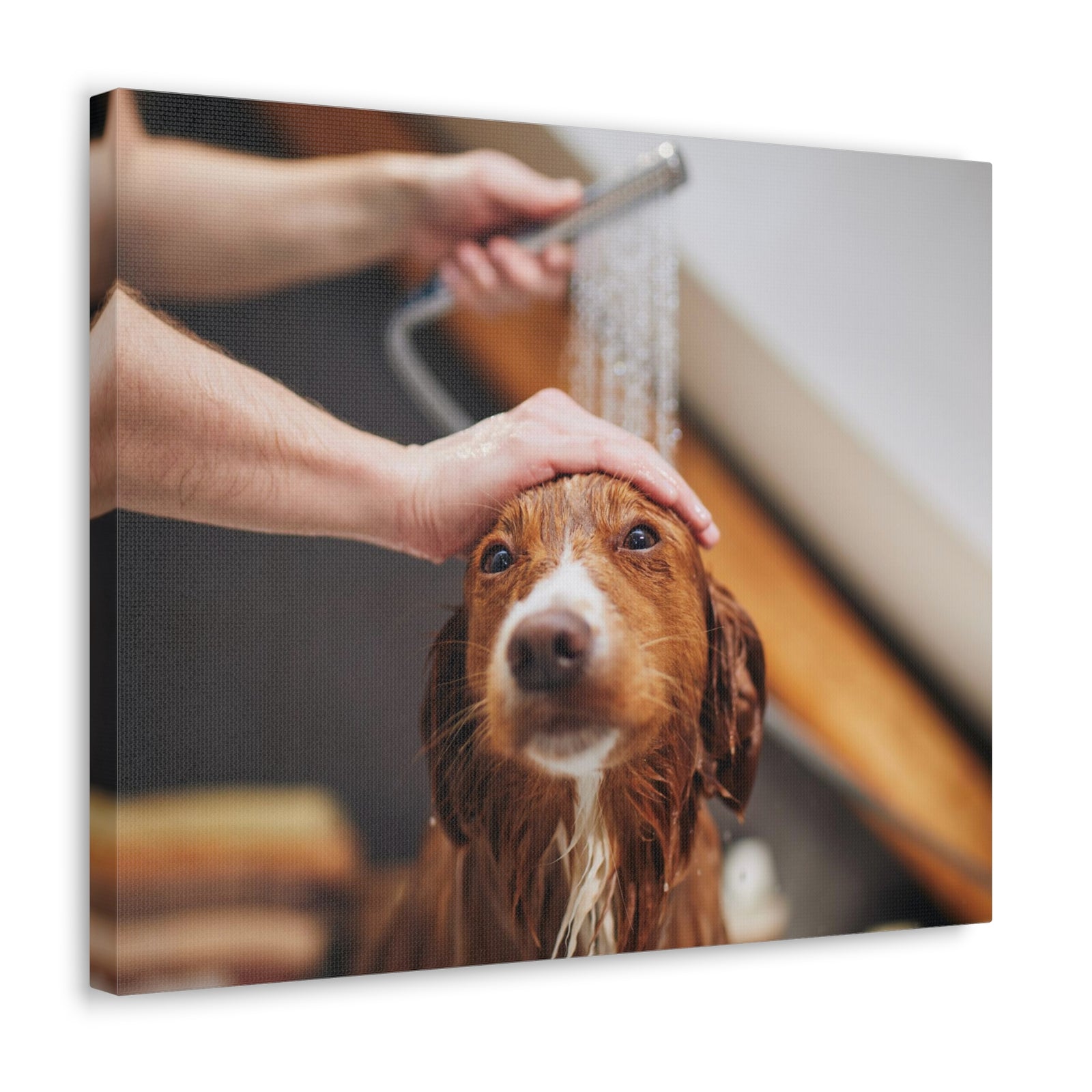 Cute Tolling Retriever Bath Canvas Wall Art for Home Decor Ready-to-Hang-Express Your Love Gifts
