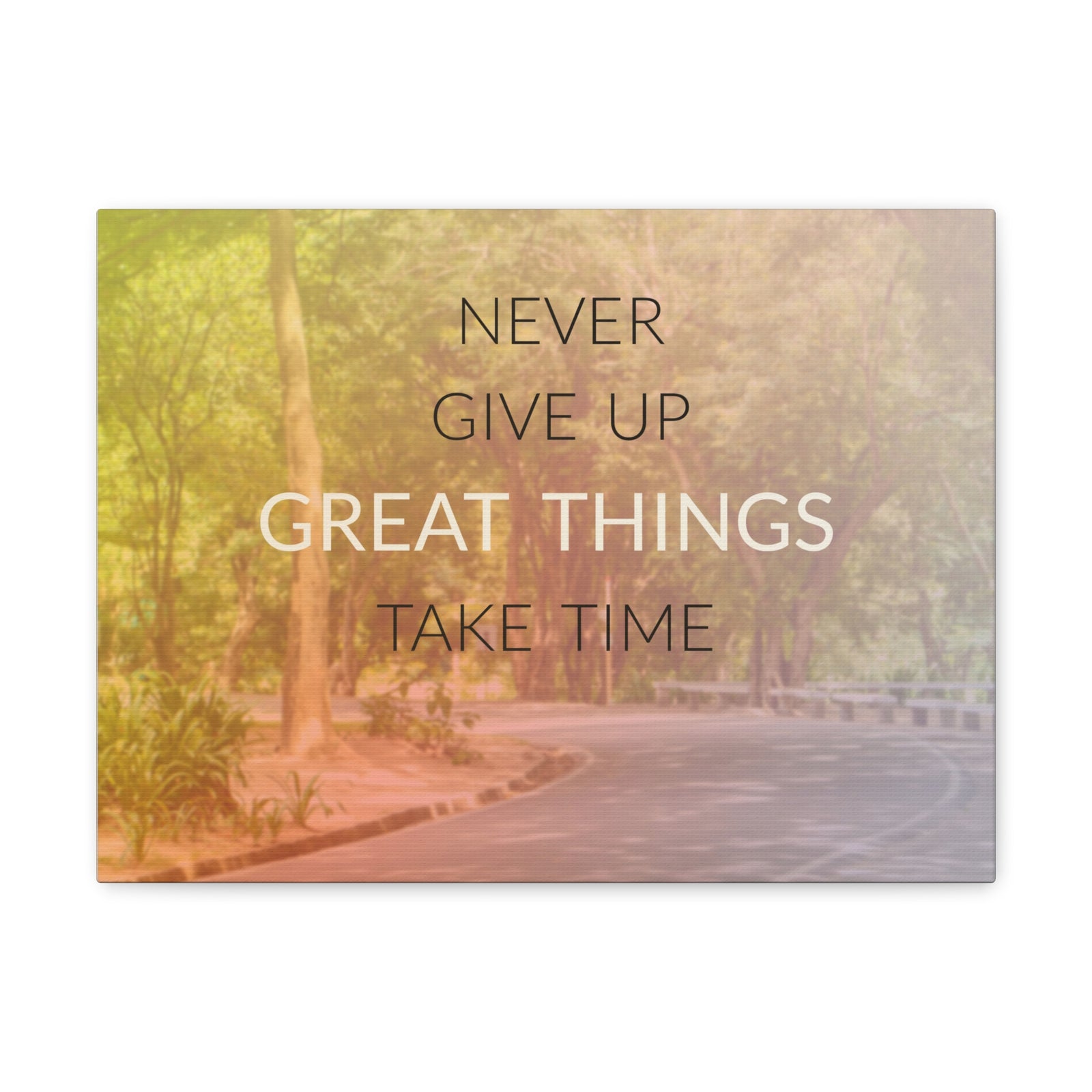 Inspirational Quote Canvas Never Give Up Motivational Print Ready to Hang Artwork-Express Your Love Gifts