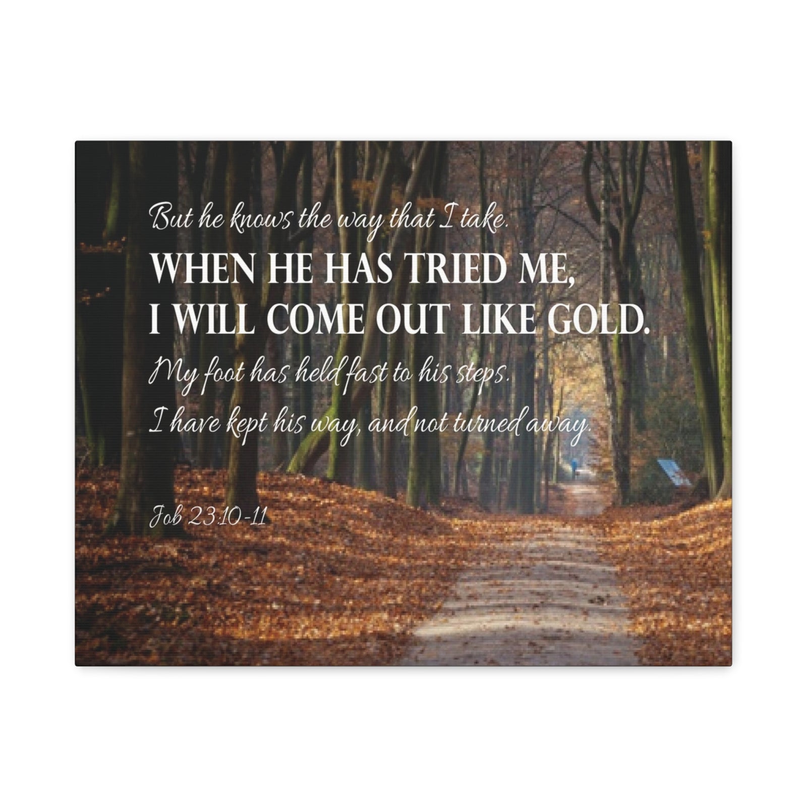 Bible Verse Canvas Come Out Like Gold Job 23:10-11 Scripture Wall Art Christian Home Decor-Express Your Love Gifts