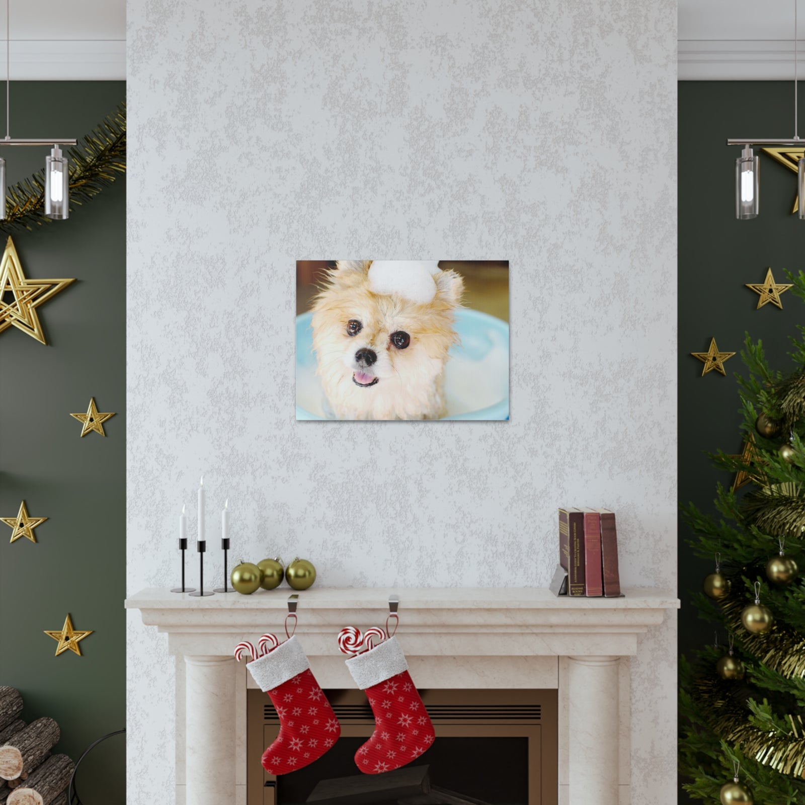 Cute Pomeranian Bathee Canvas Wall Art for Home Decor Ready-to-Hang-Express Your Love Gifts