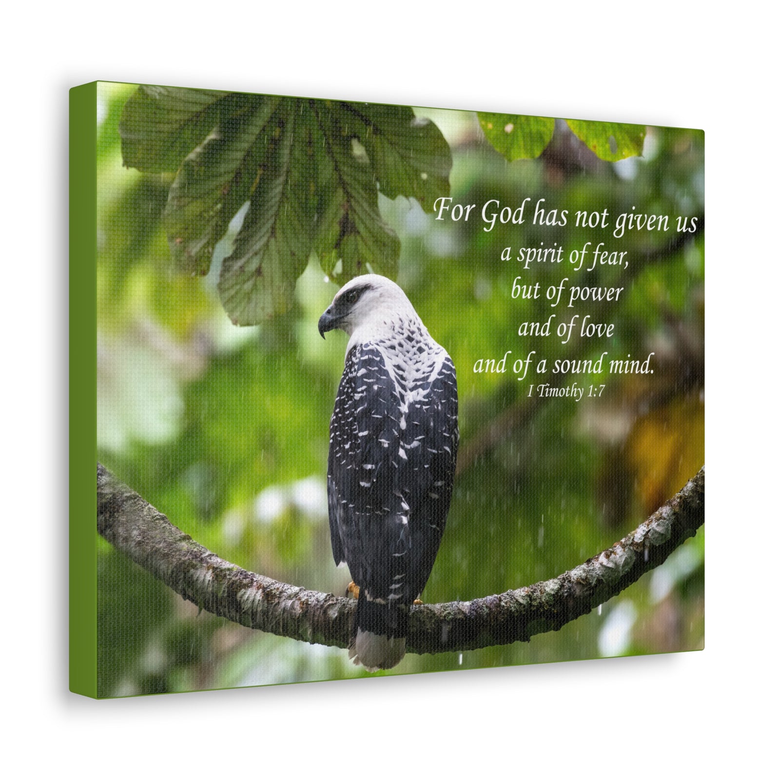 Scripture Canvas A Sound Mind 1 Timothy 1:7 Christian Wall Art Bible Verse Print Ready to Hang-Express Your Love Gifts