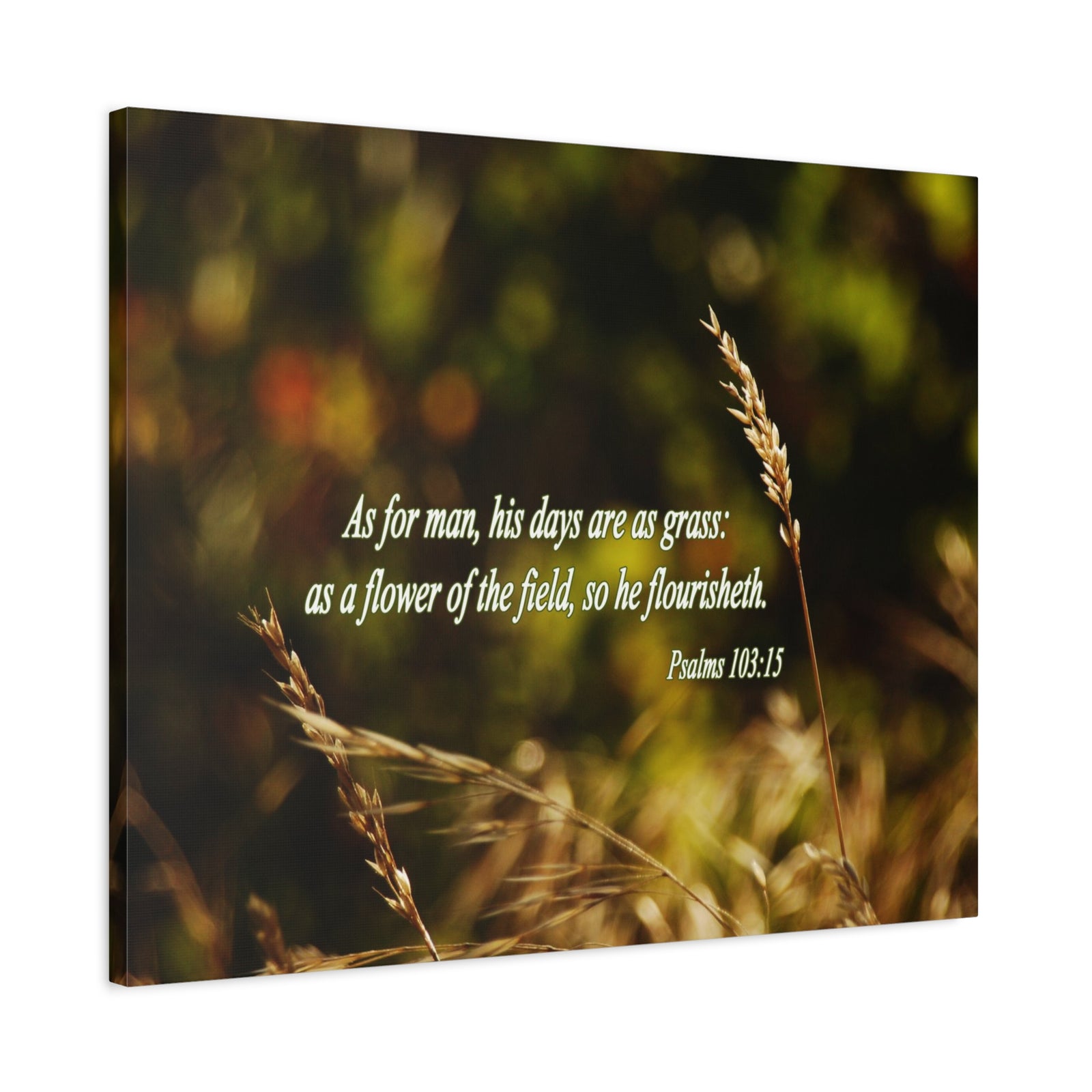 Scripture Canvas Flower of the Field Psalm 103:15 Christian Wall Art Bible Verse Print Ready to Hang-Express Your Love Gifts