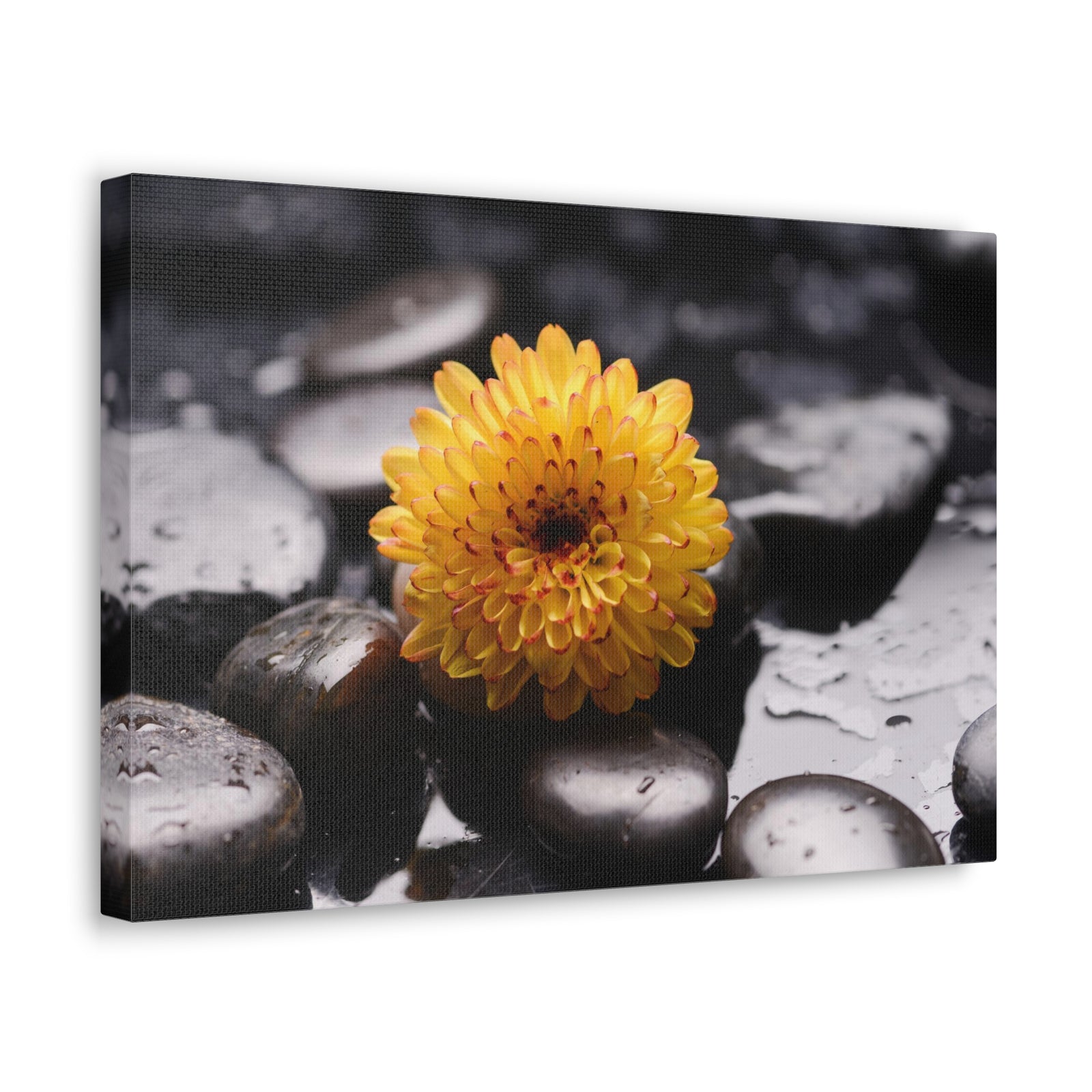 Macro of Yellow Flower Forest Floral Nature Photography Canvas Wall Art for Home Decor Ready-to-Hang-Express Your Love Gifts