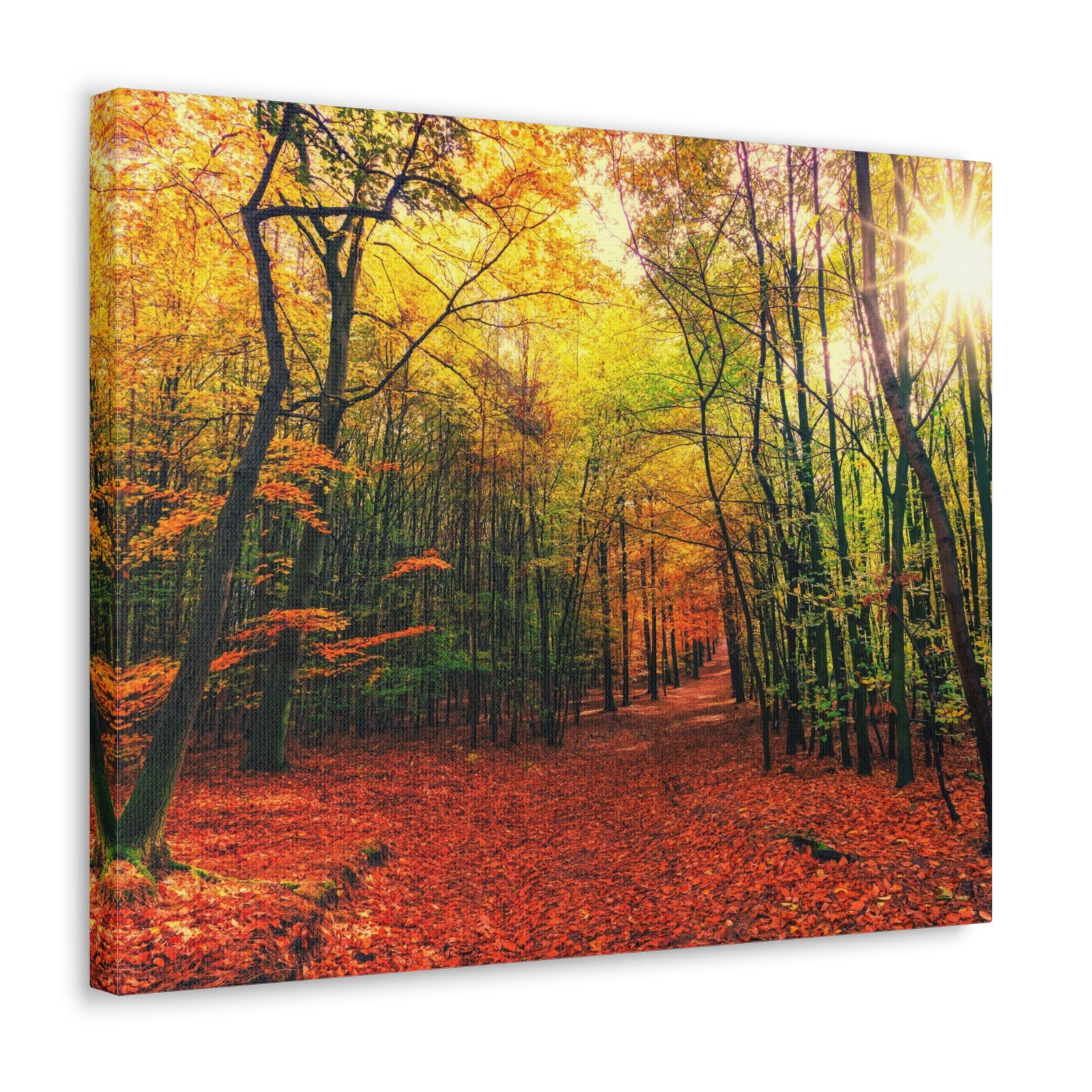 Autumn Forest is Beautiful Forest Floral Nature Photography Canvas Wall Art for Home Decor Ready-to-Hang-Express Your Love Gifts
