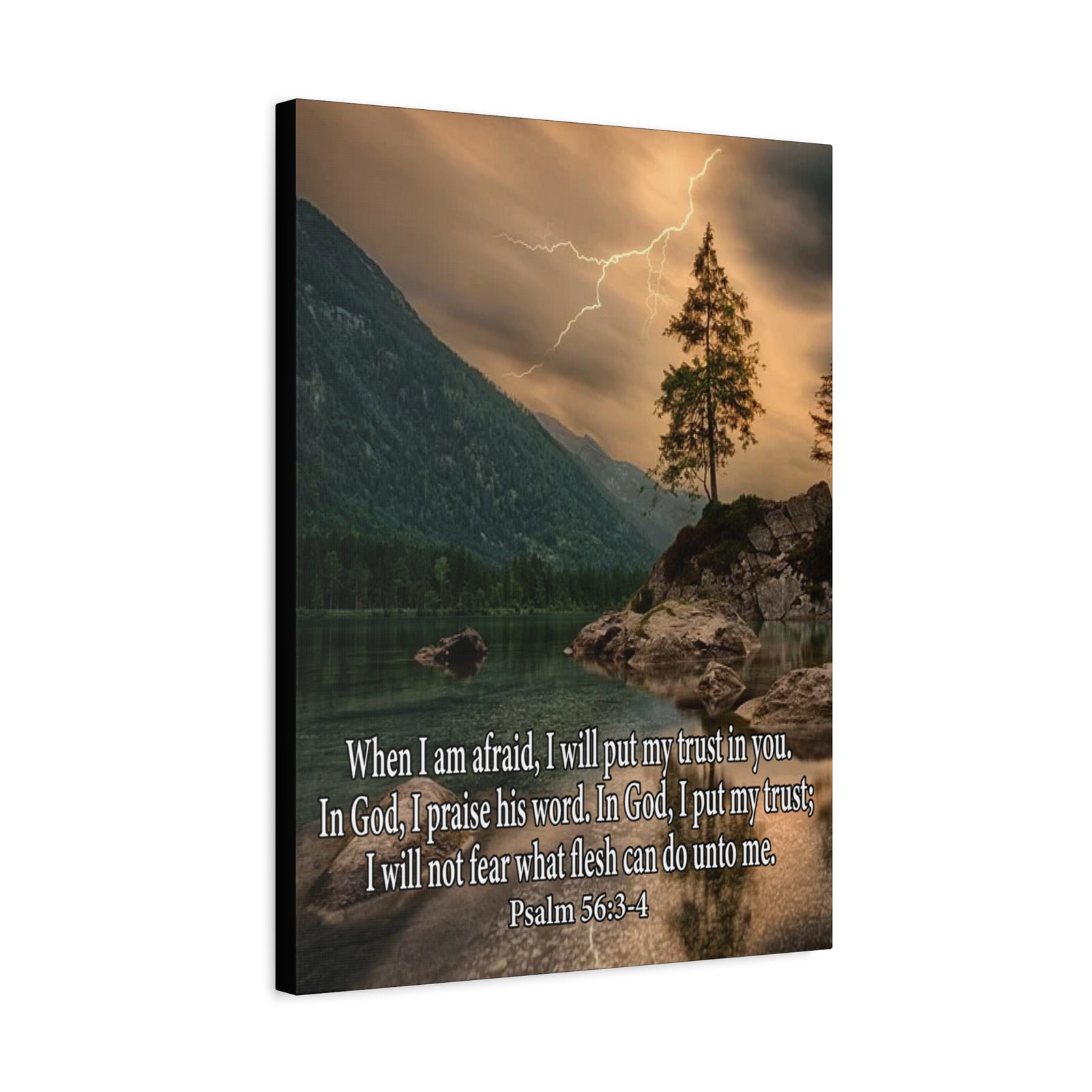 Scripture Canvas I Put My Trust in You Psalm 56:3-4 Christian Wall Art Bible Verse Print Ready to Hang-Express Your Love Gifts