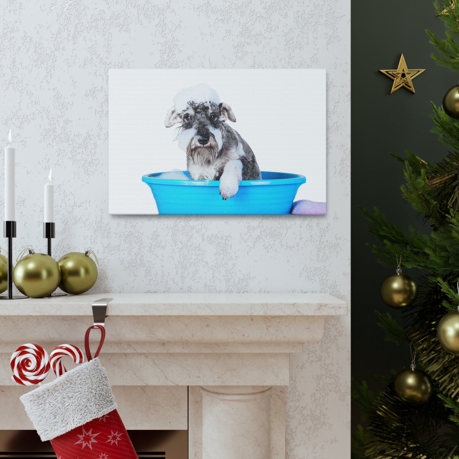 Cute Schnauzer Bath Canvas Wall Art for Home Decor Ready-to-Hang-Express Your Love Gifts